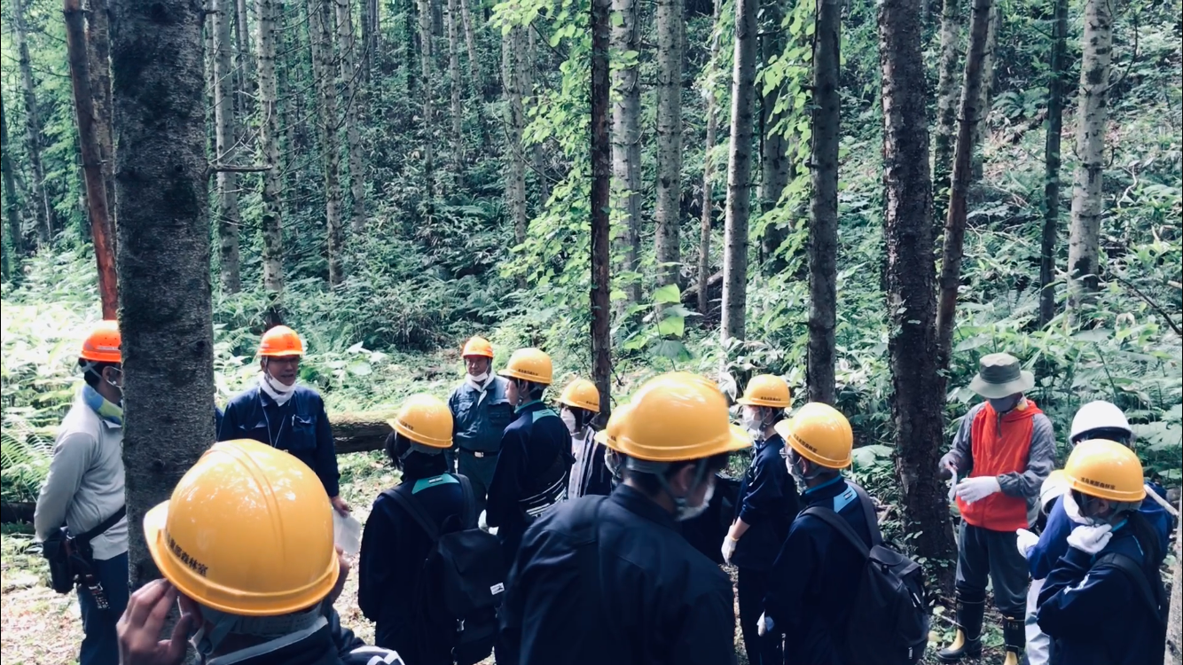 Logging
