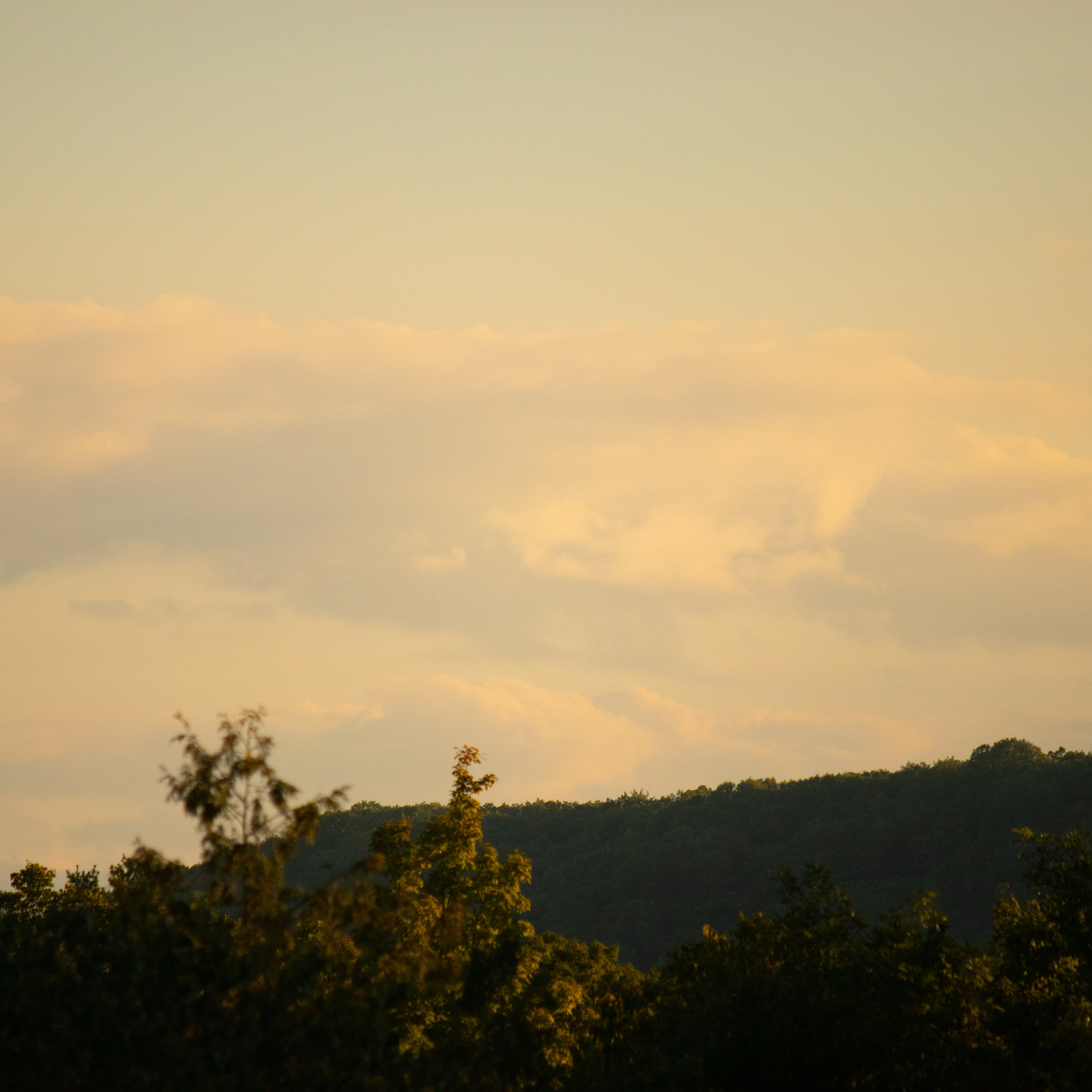 Entrance Song for a Game (Single Version)