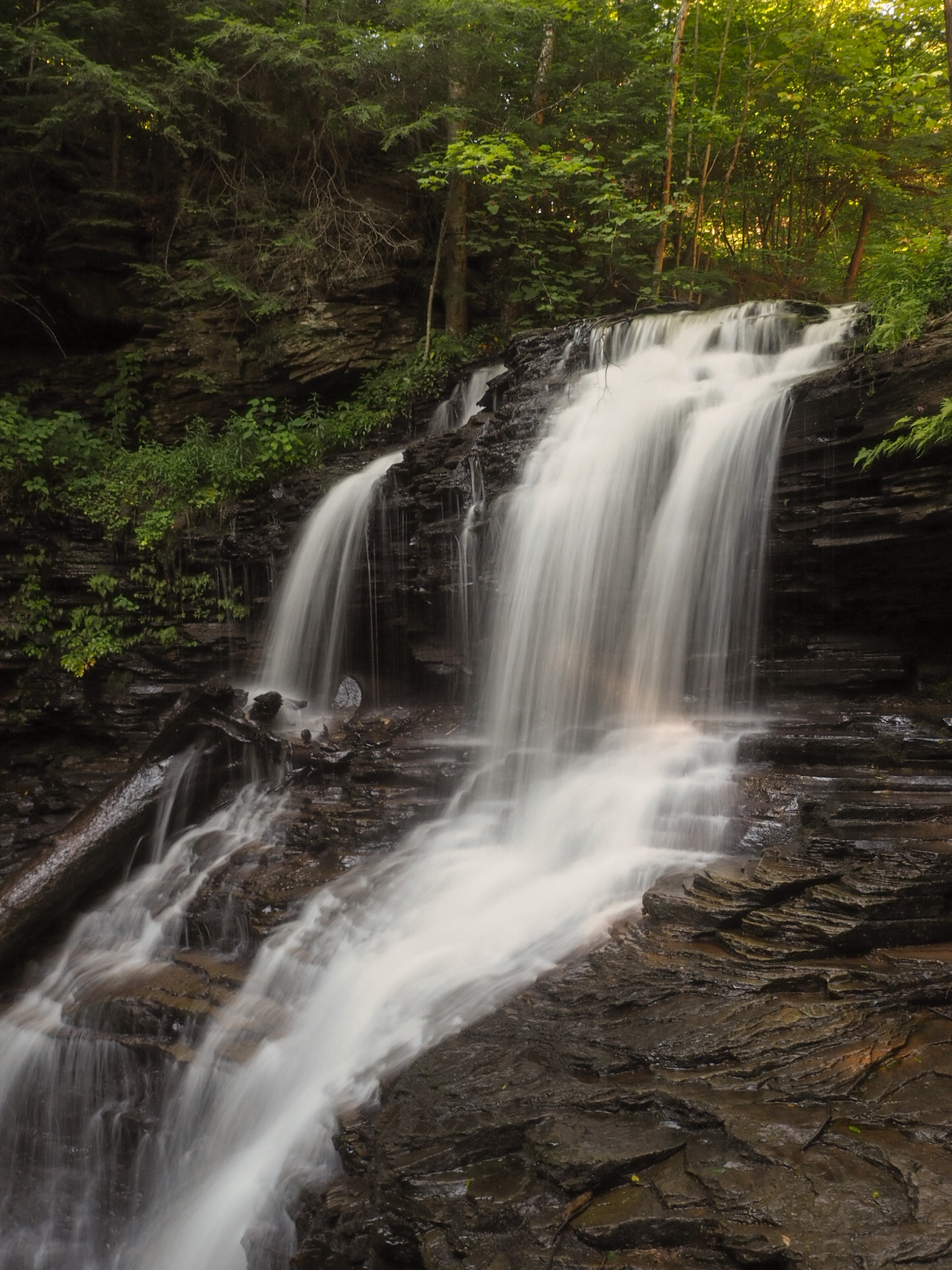 Ricketts Glen, PA