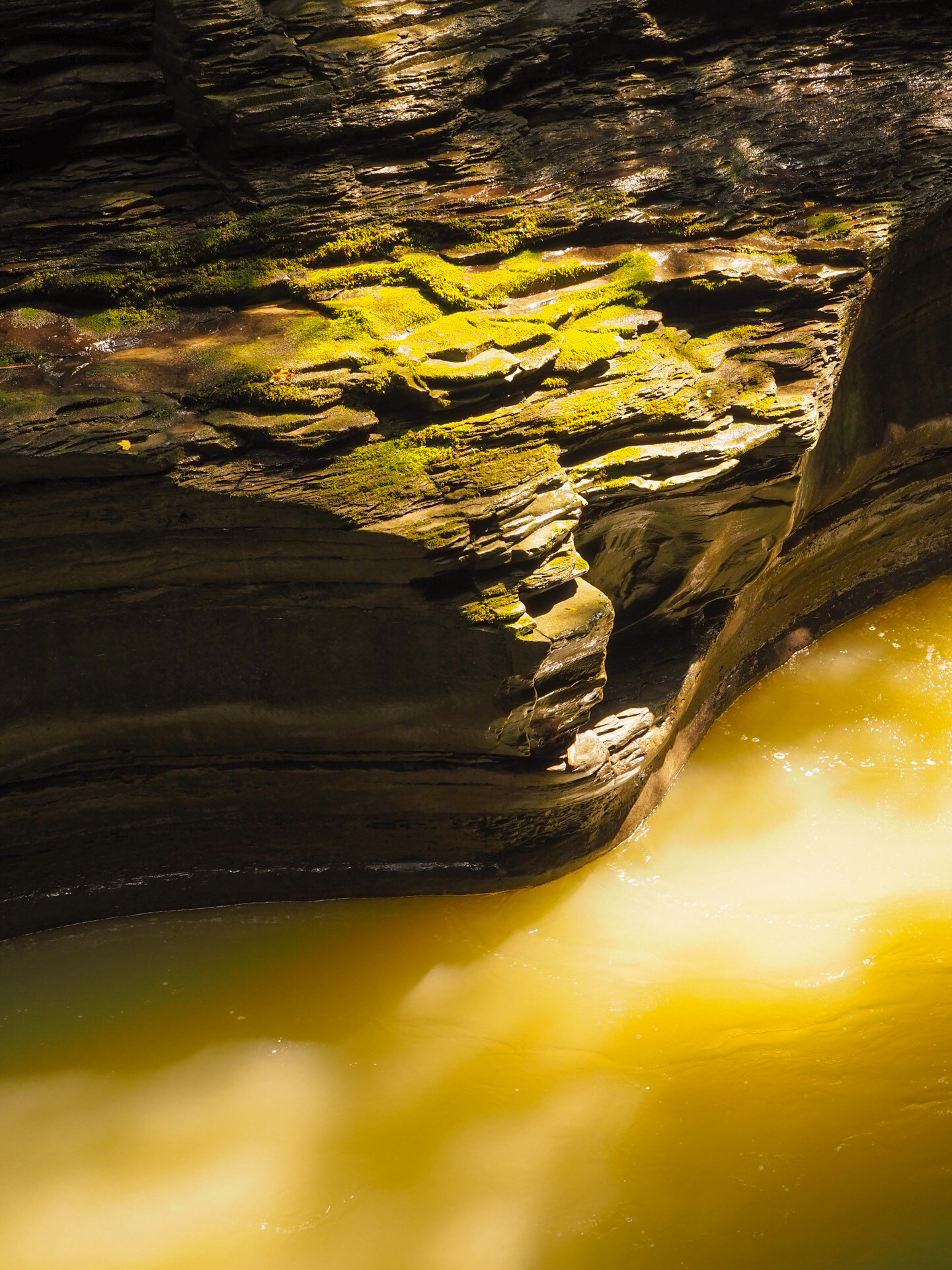 Watkins Glen, NY