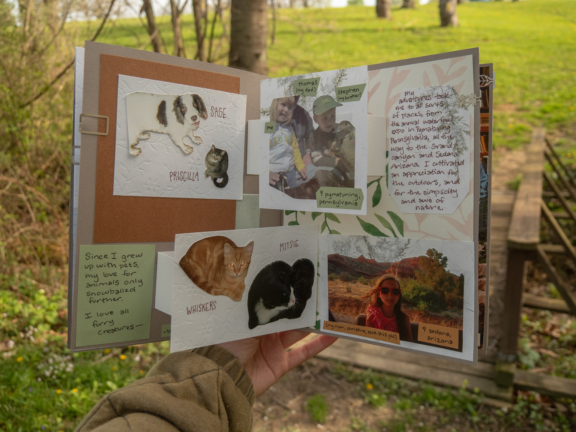 pages 5 and 6