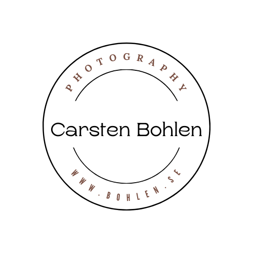 Carsten Bohlen