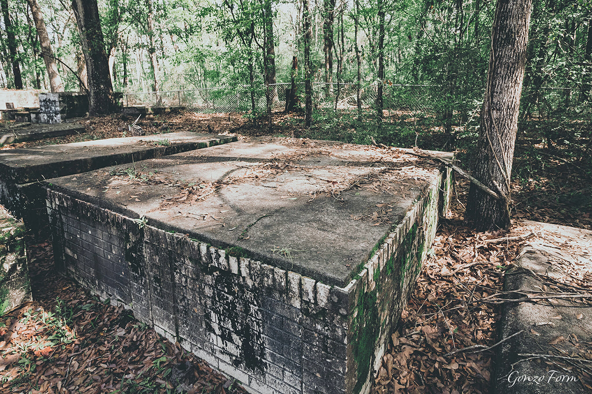 Gonzo Form Morning Star Cemetery