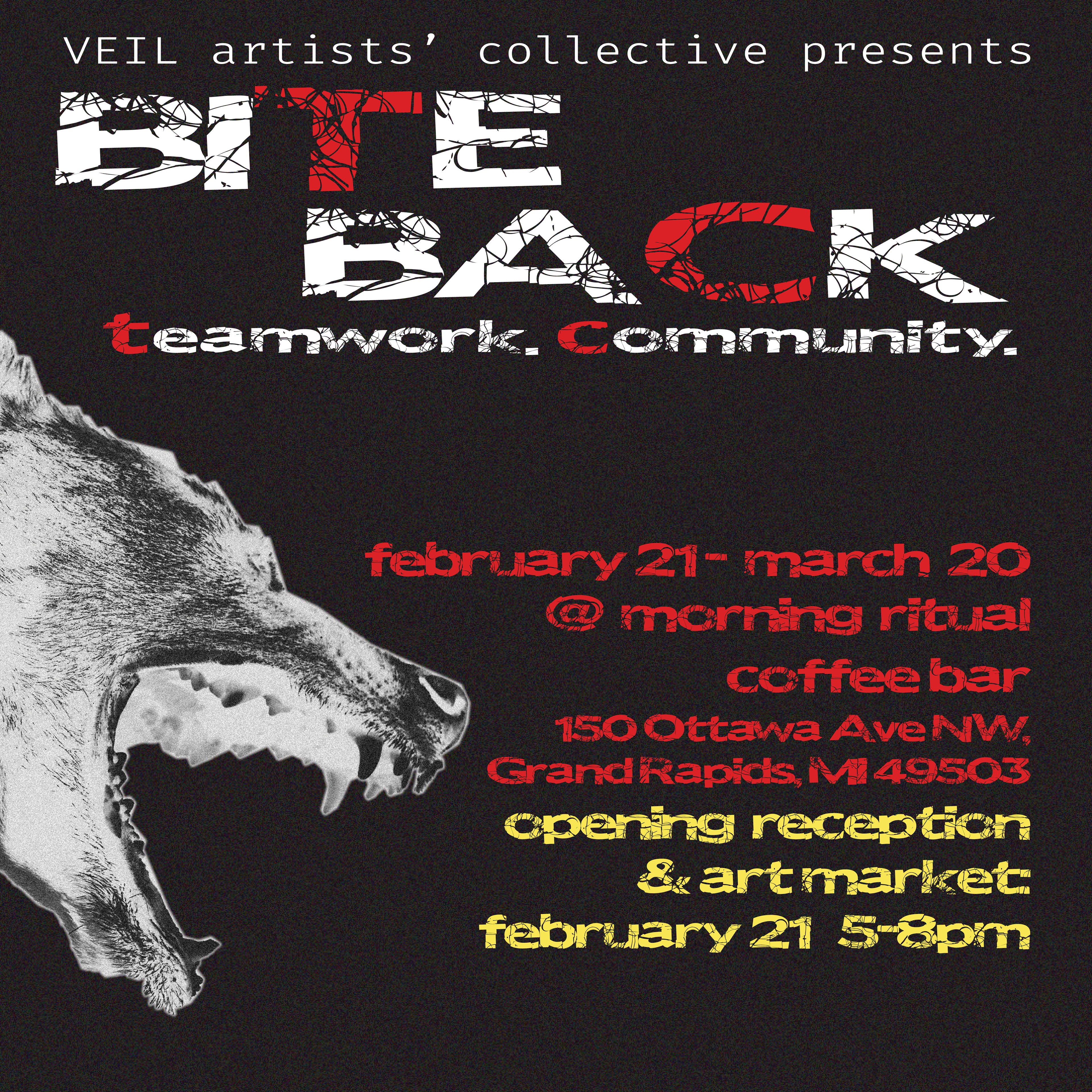 exhibition advertisement for VEIL collectvie