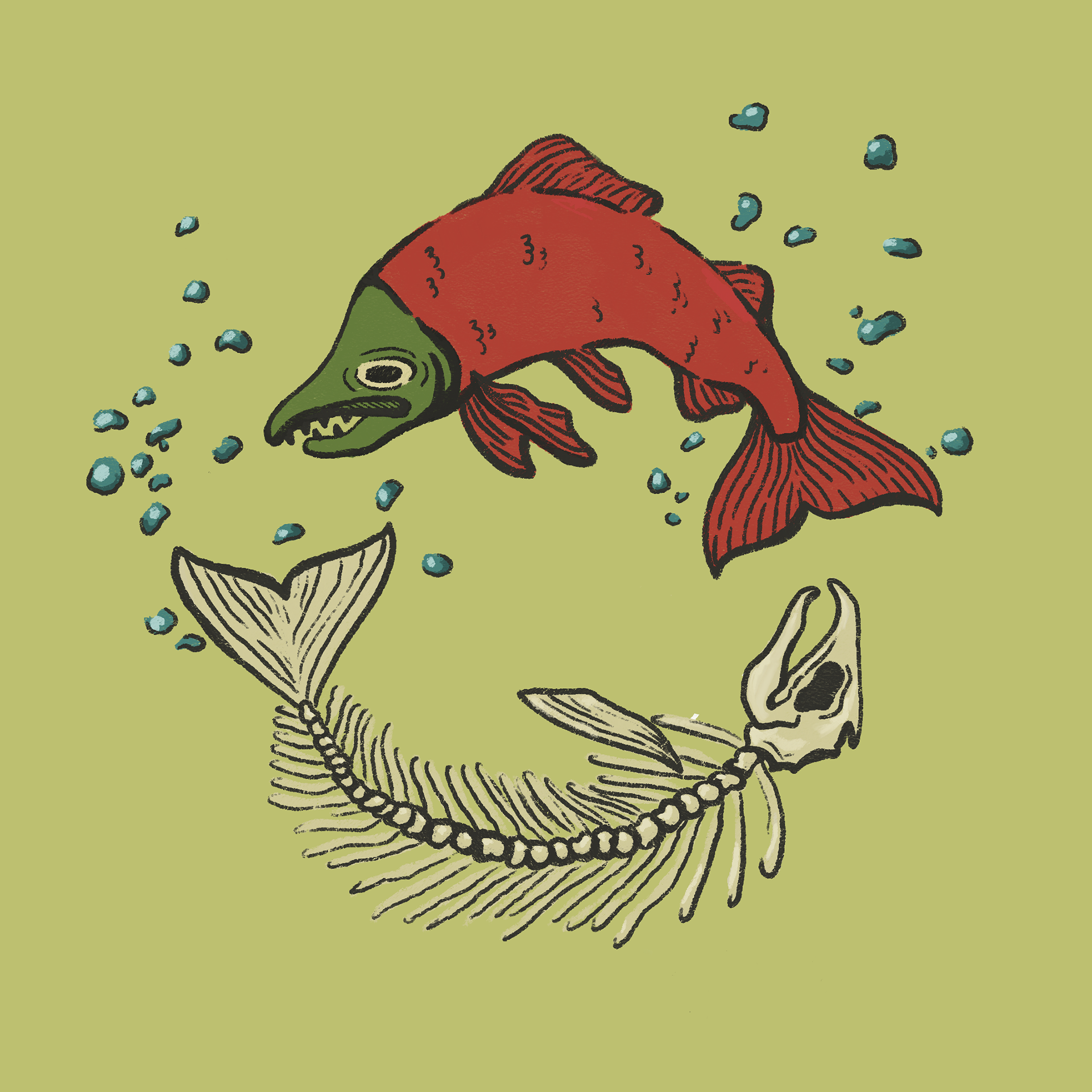weird fishes, 4x4 inches pen+ink and digital coloring