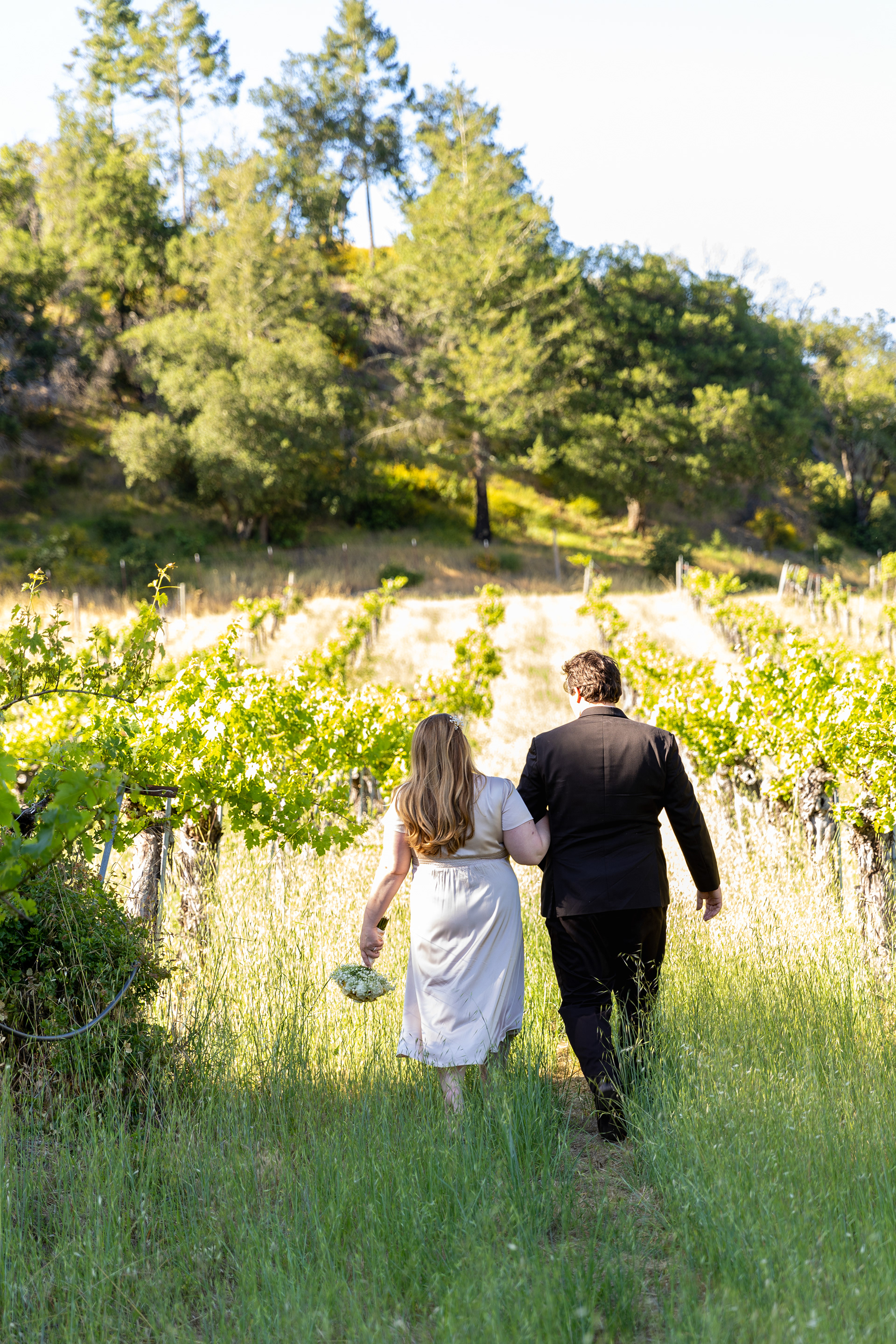 a-just-married-couple-walks-into-the-distance-in-a-calistoga-vineyard
