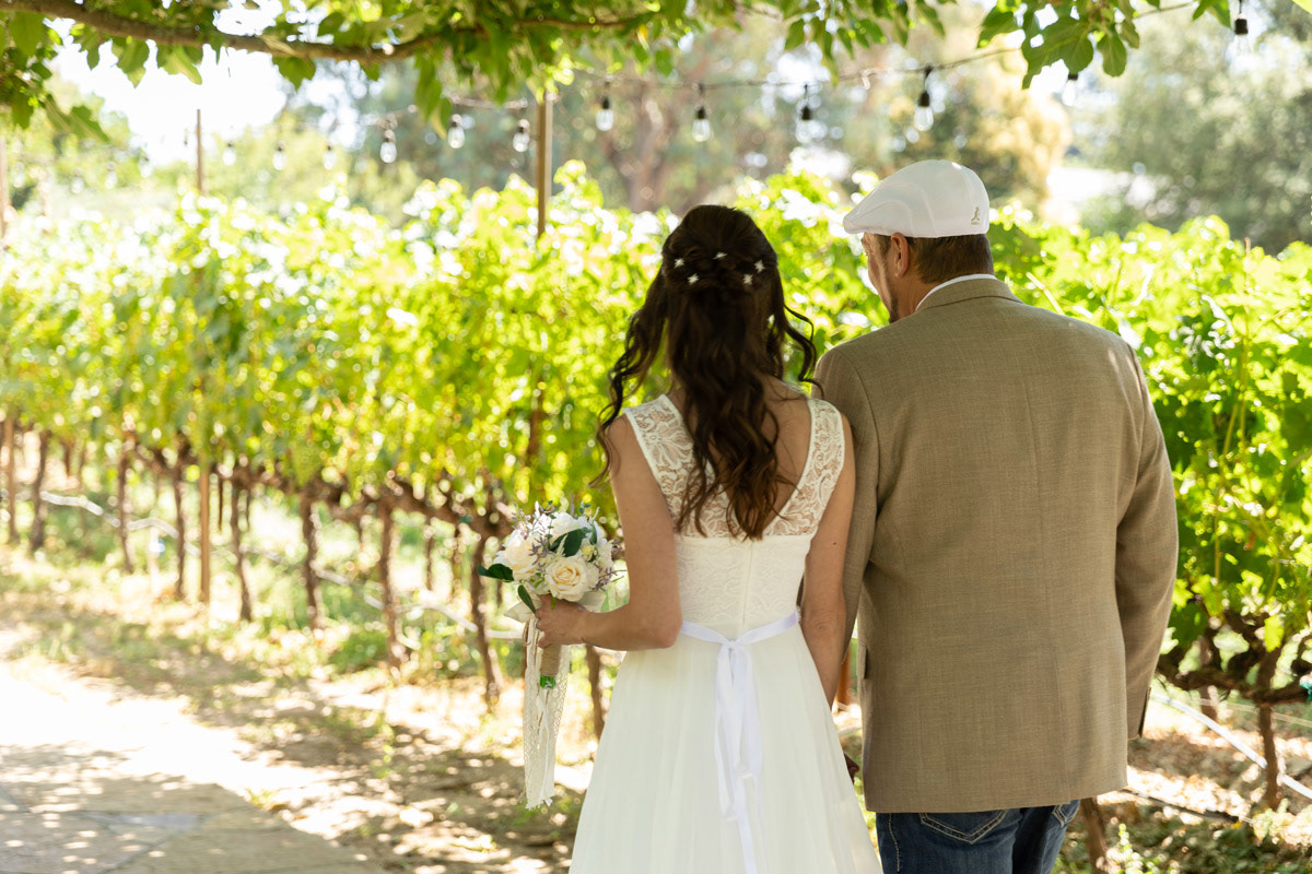 bride-and-groom-walk-hand-in-hand-in-a-Napa-vineyard