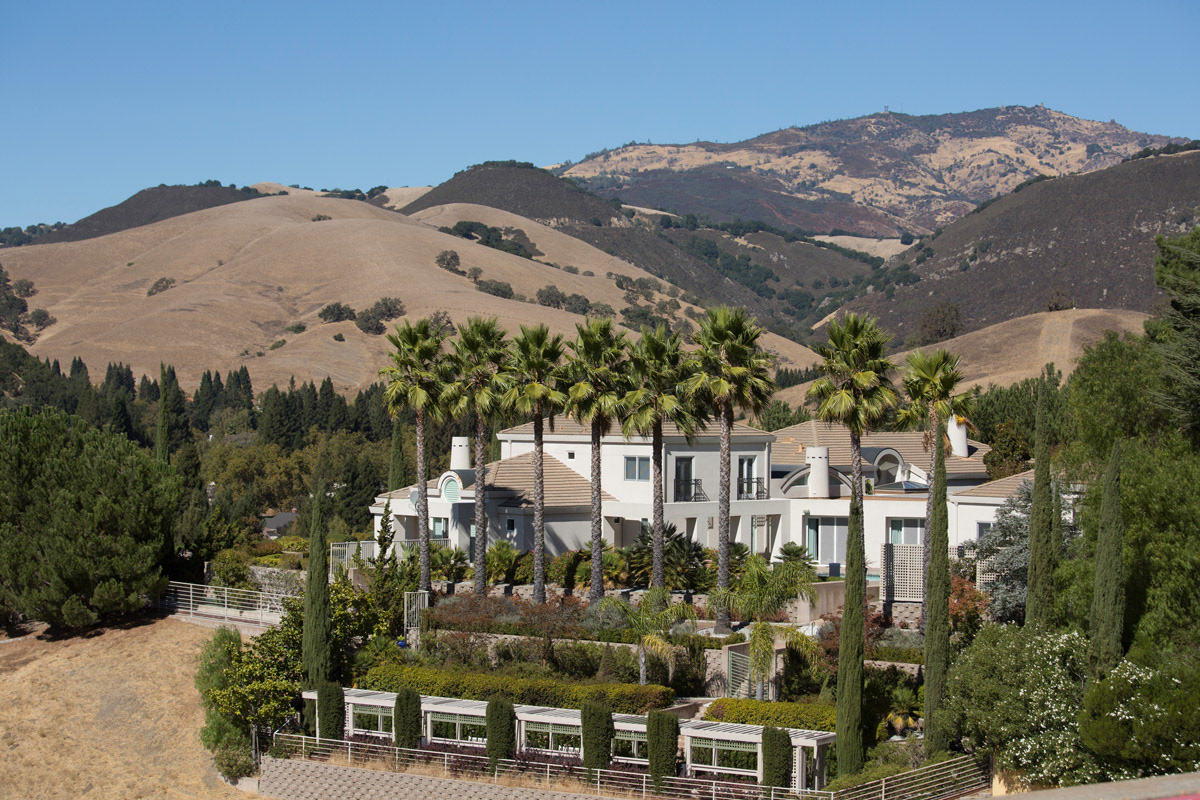 Mt-diablobackground-for-this-grand-home-with-palm-trees