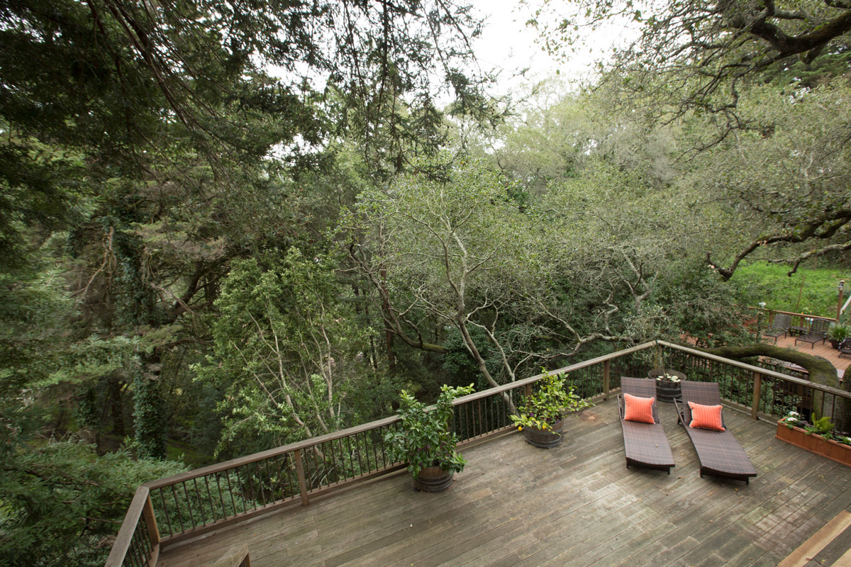 above-wood-deck-with-two-bown-chaise-loungers-orange-pillows-surrounded-by-wooded-garden