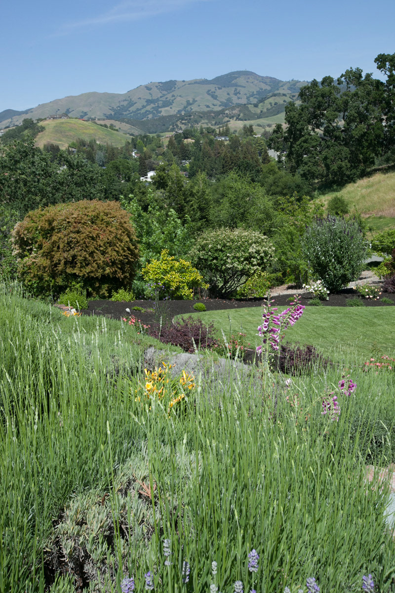 front-garden-landscaping-with-view-mt-diablo-view
