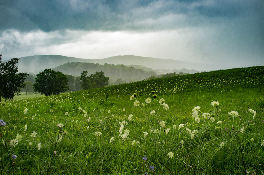 Photo by Sometimes Homemade