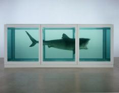 Damian Hirst
