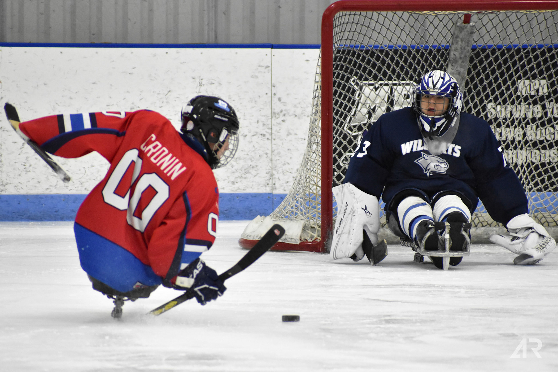 Troy Cronin Sled Hockey Shot