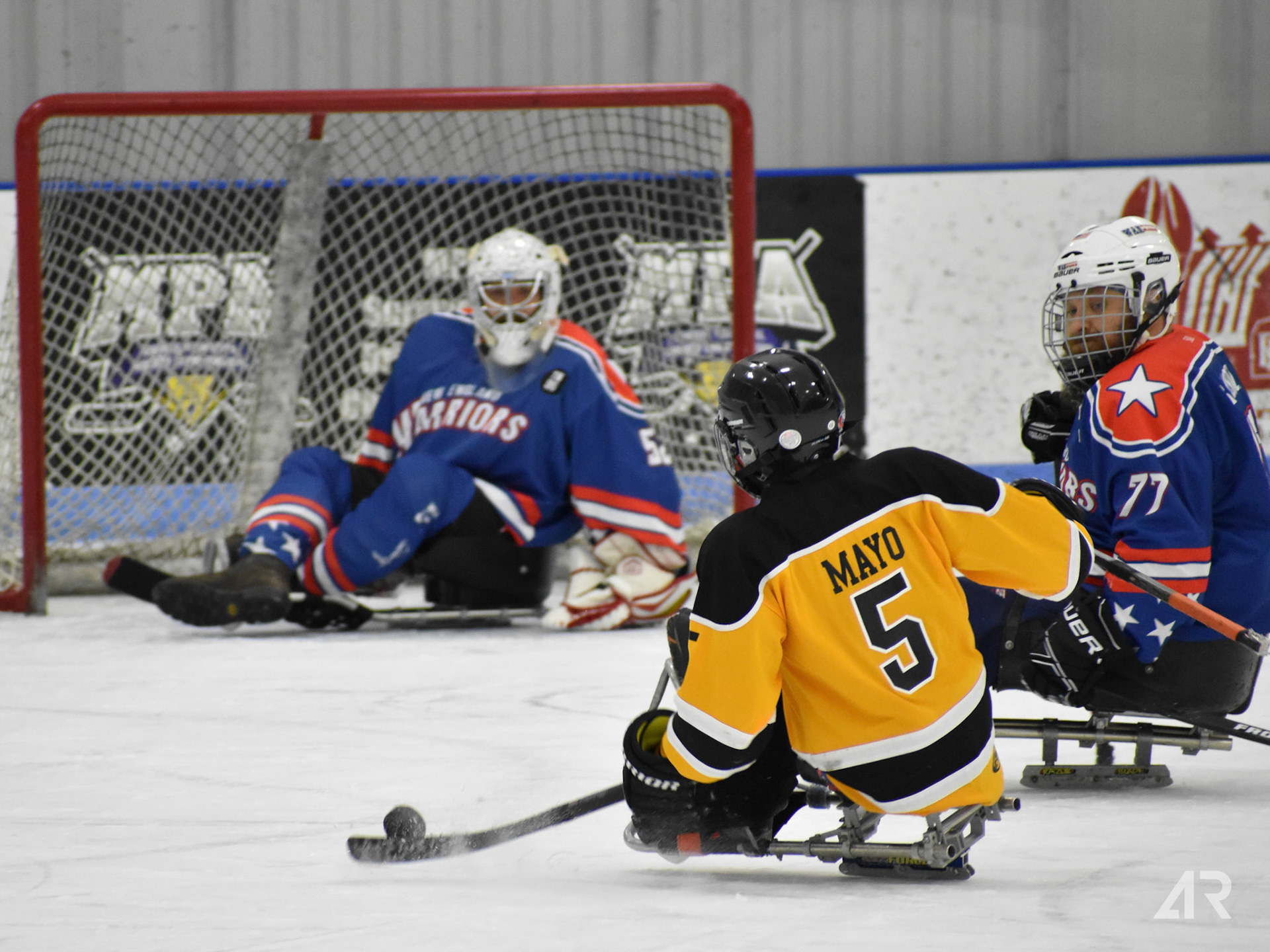 Delmace Mayo Sled Hockey Shot