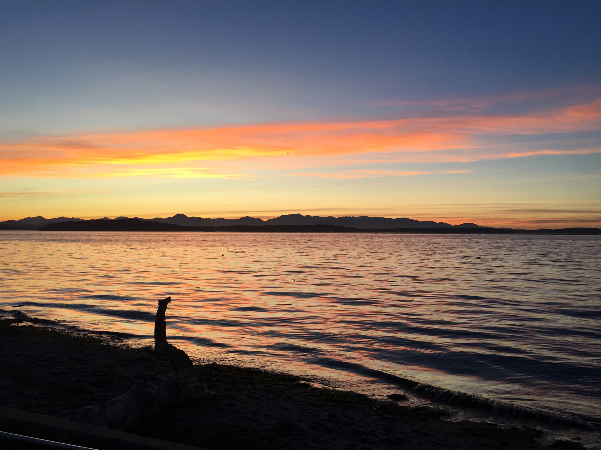 Puget Sound