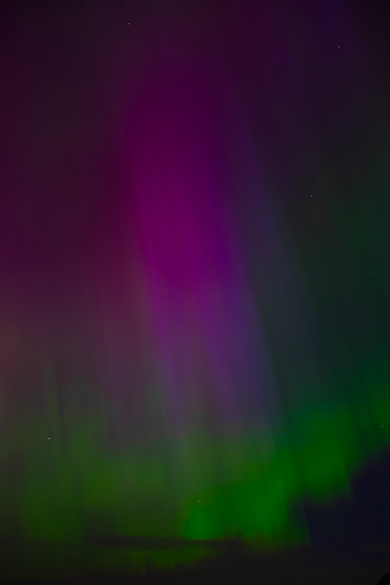 Aurore boréale (Vancouver - BC)