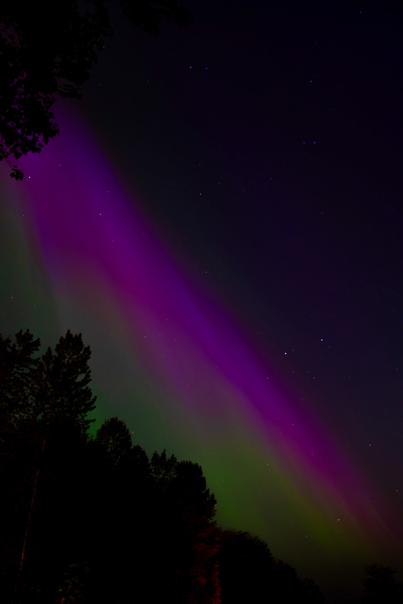 Aurore boréale (Vancouver - BC)