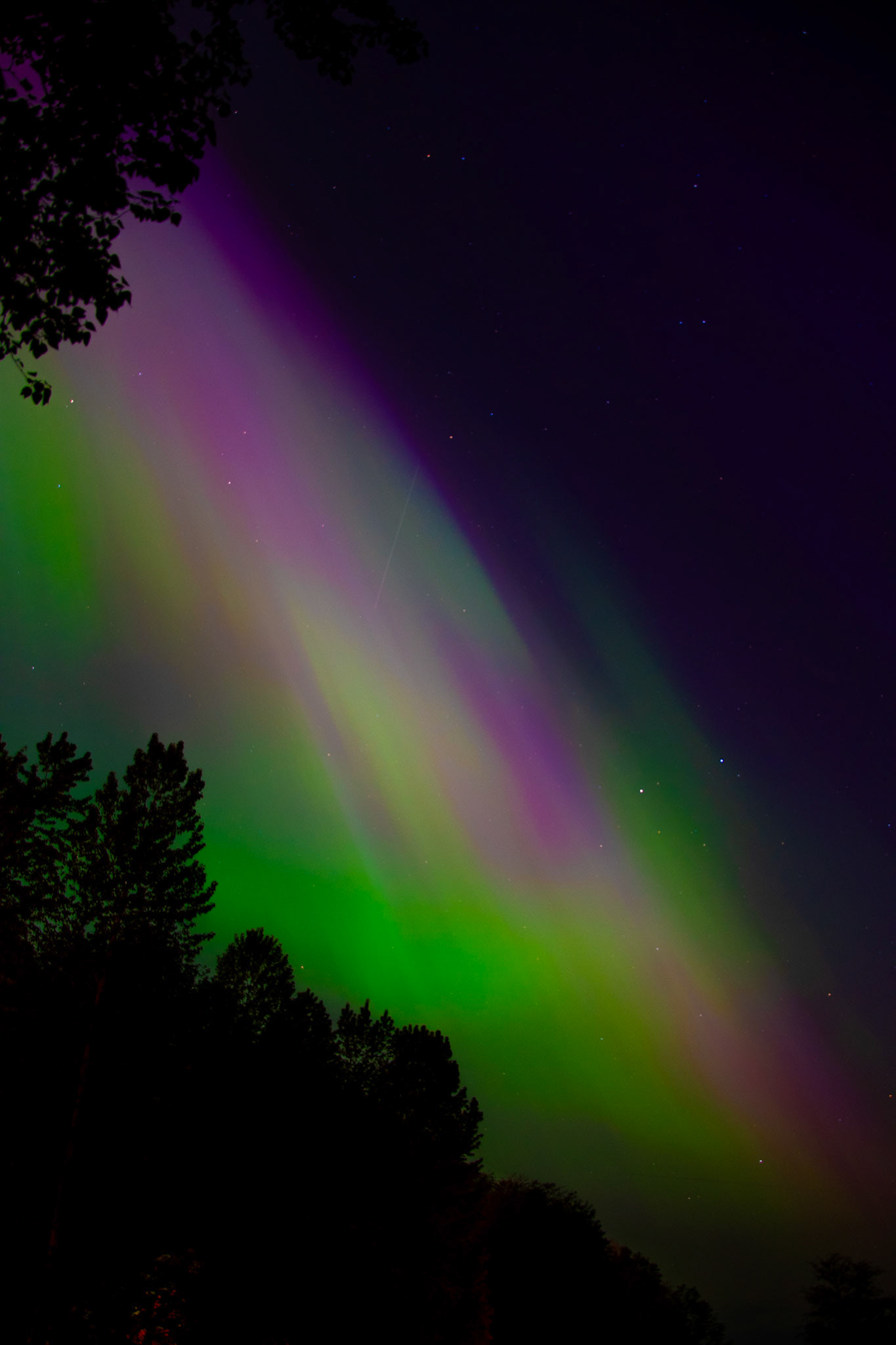 Aurore boréale (Vancouver - BC)