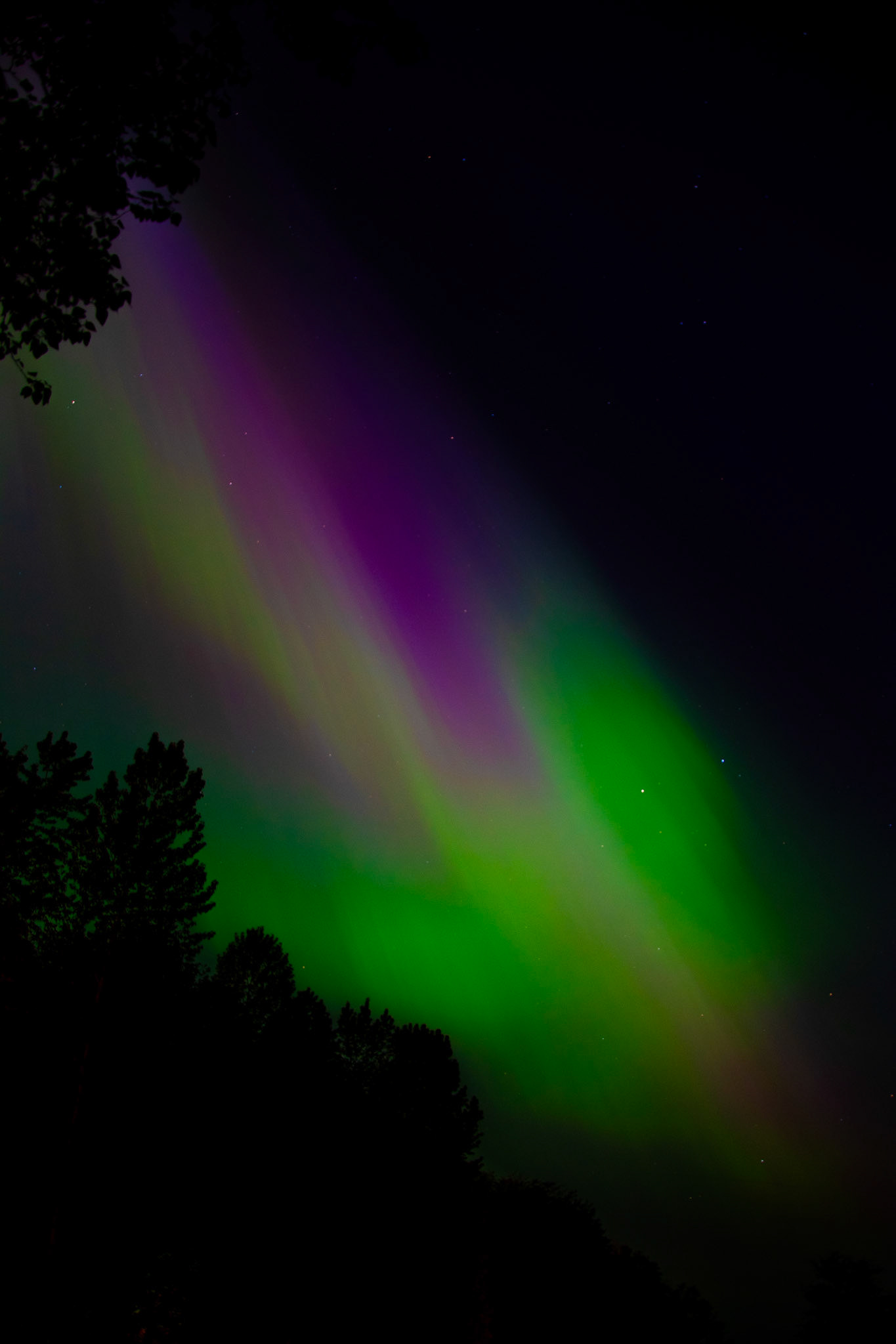 Aurore boréale (Vancouver - BC)