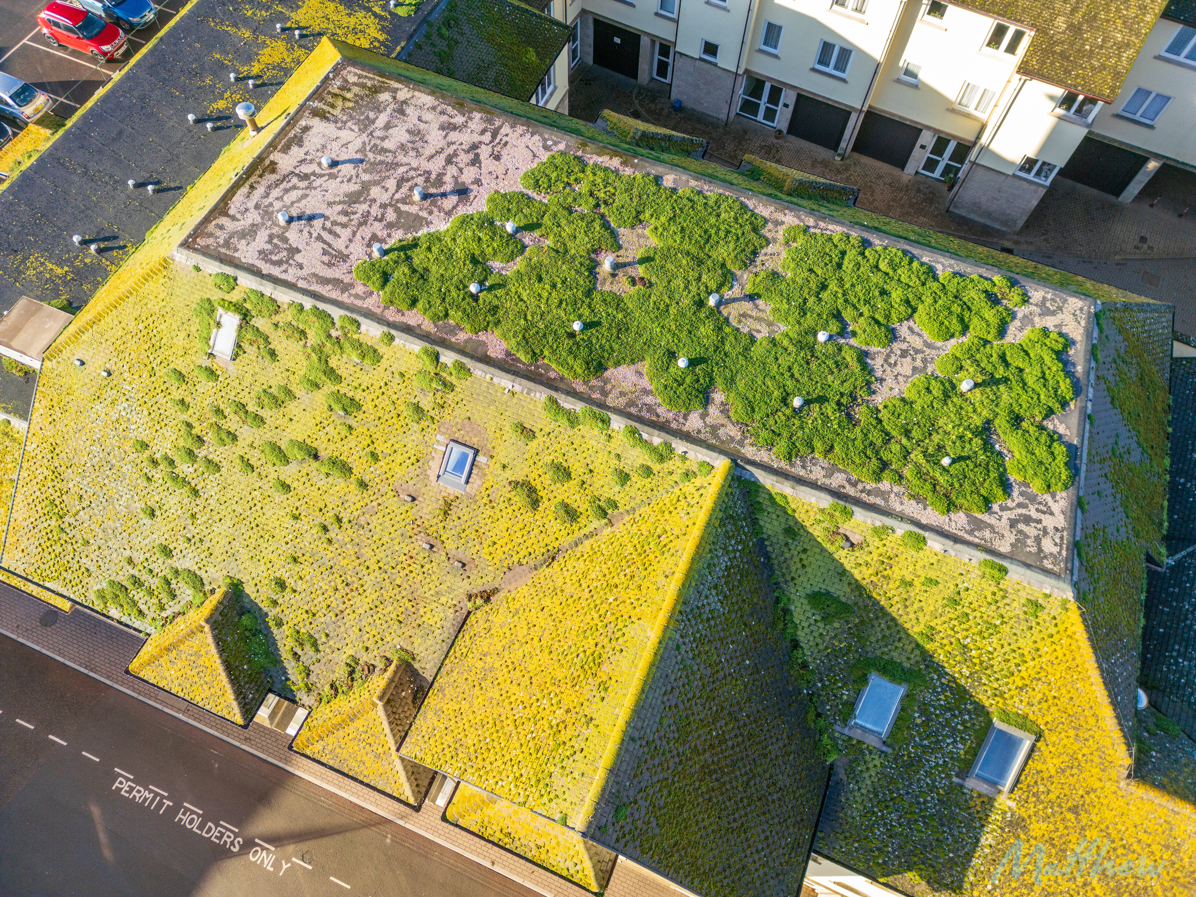 Drone Roof Survey