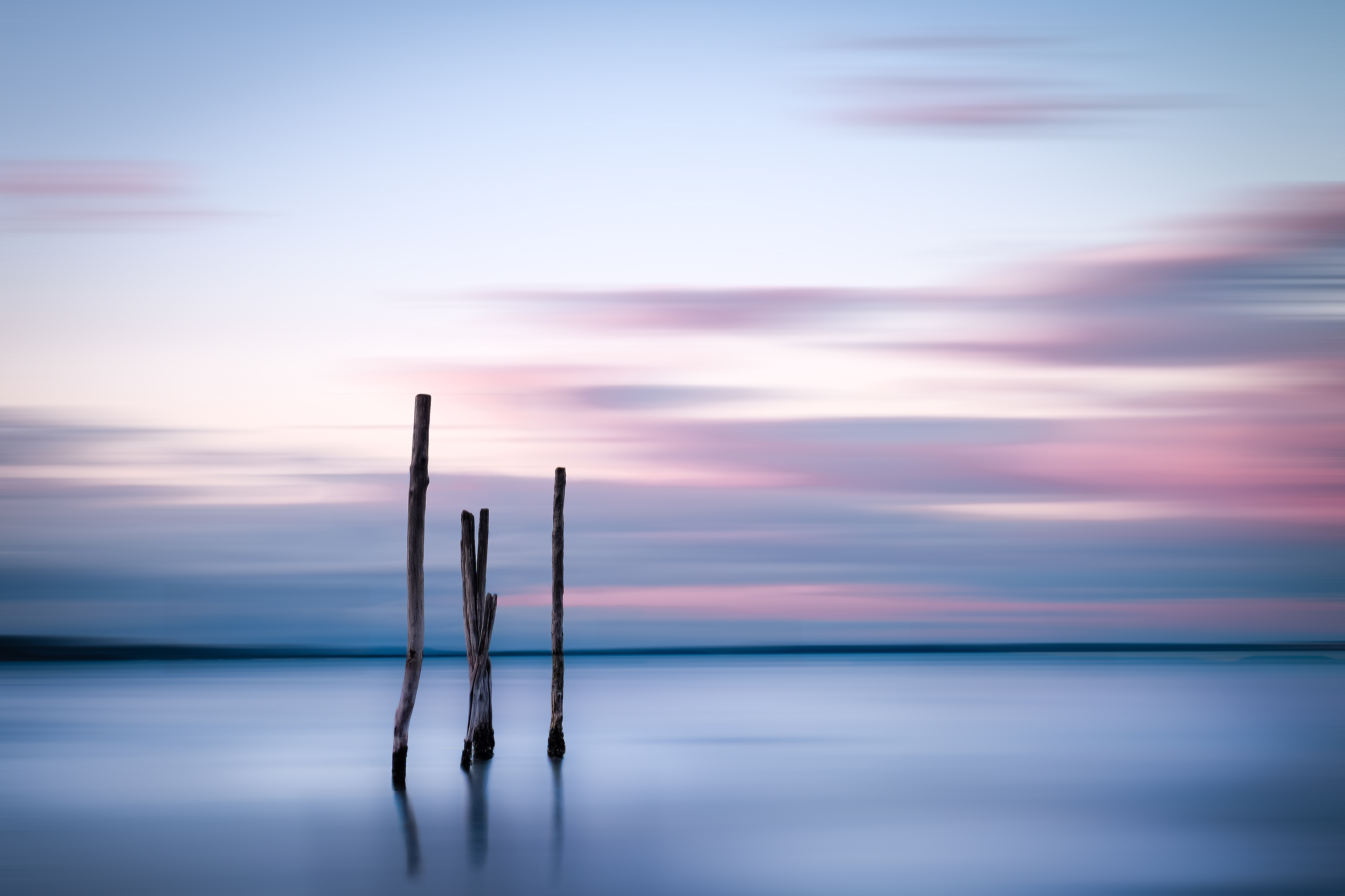 Fontenay aux Roses, Mois de la Photo  2021