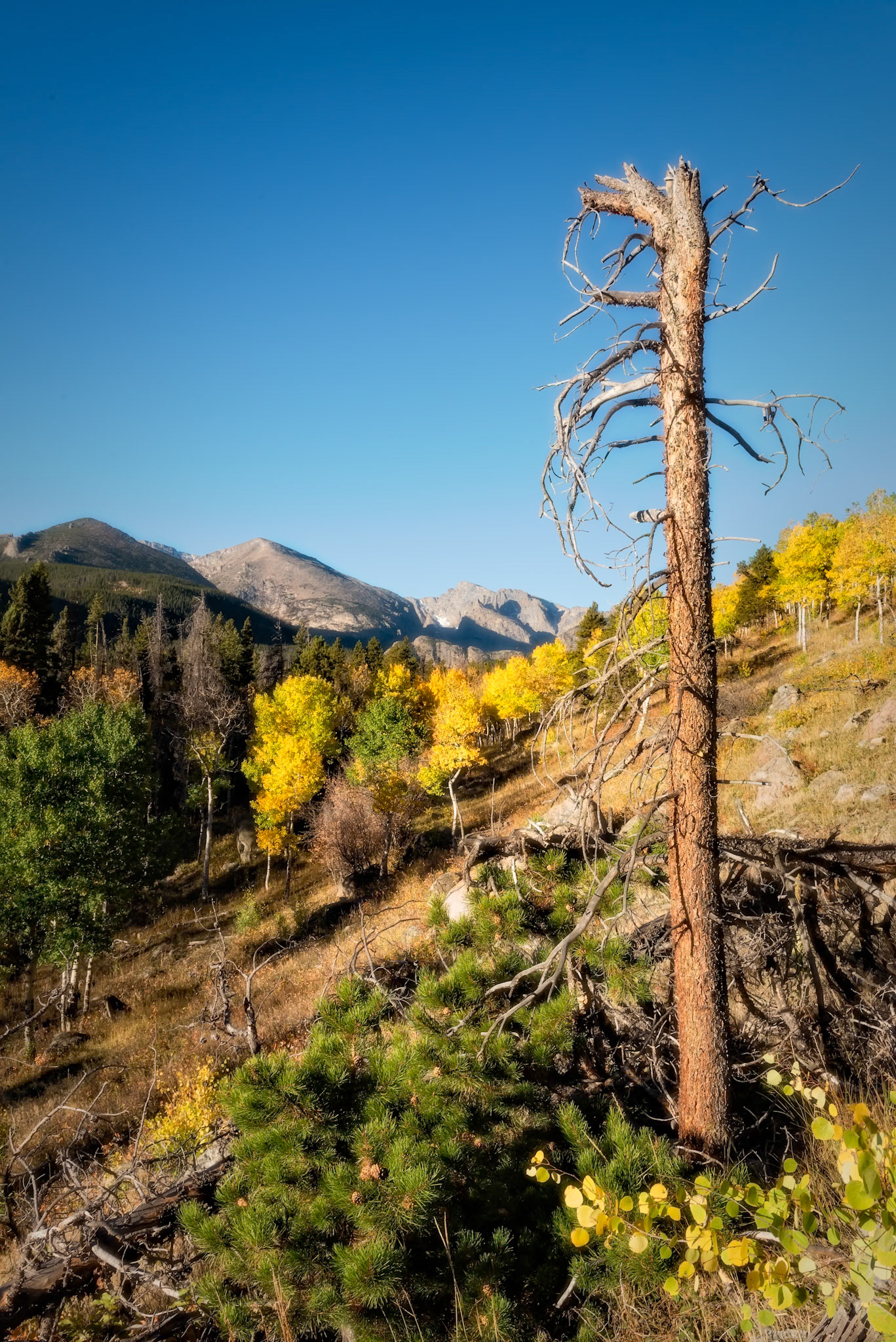 Fall in Rocky Mountain NP