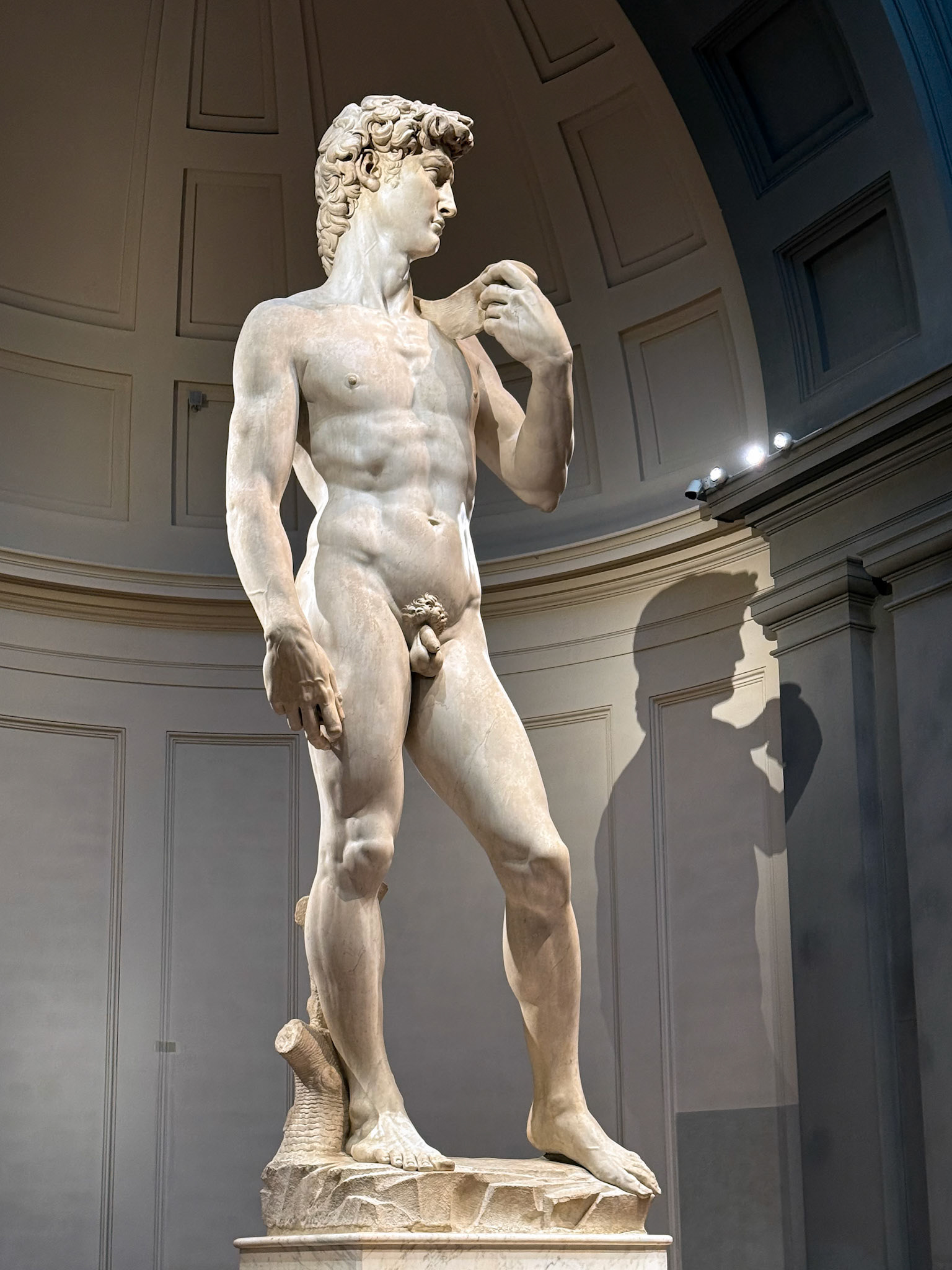 Michelangelo's David Cir. 1504