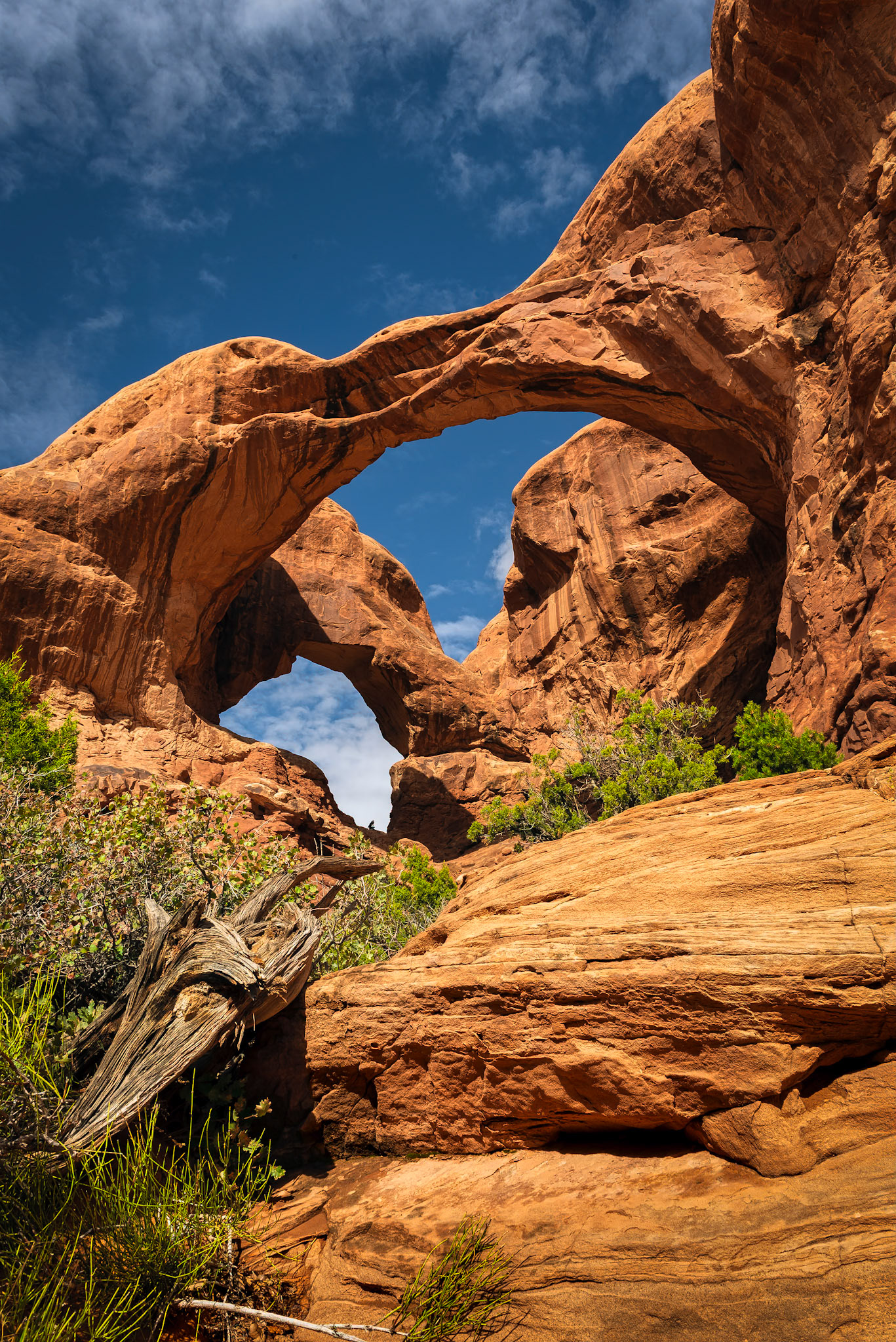 Double Arch