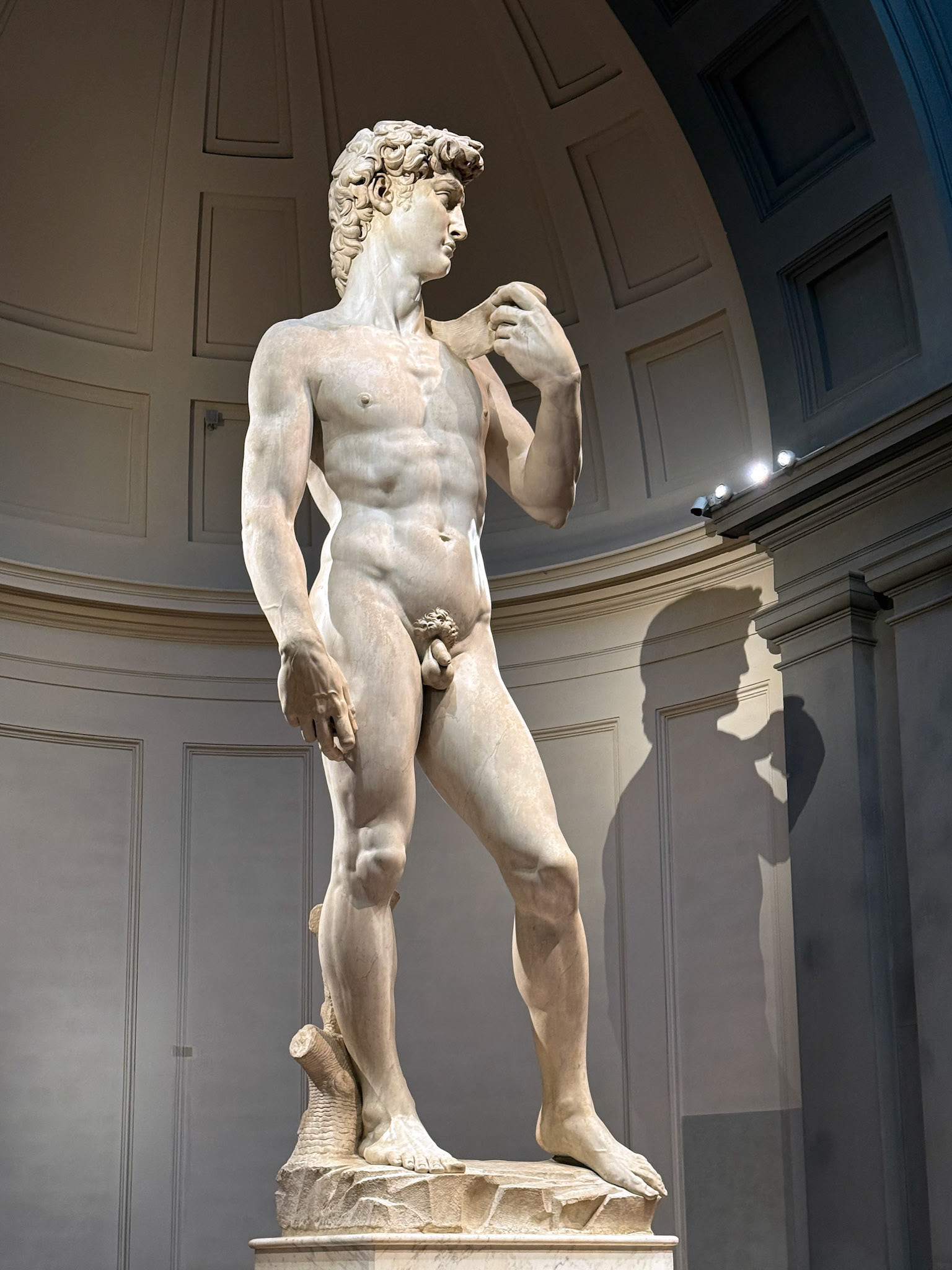 Michelangelo's David Cir. 1504