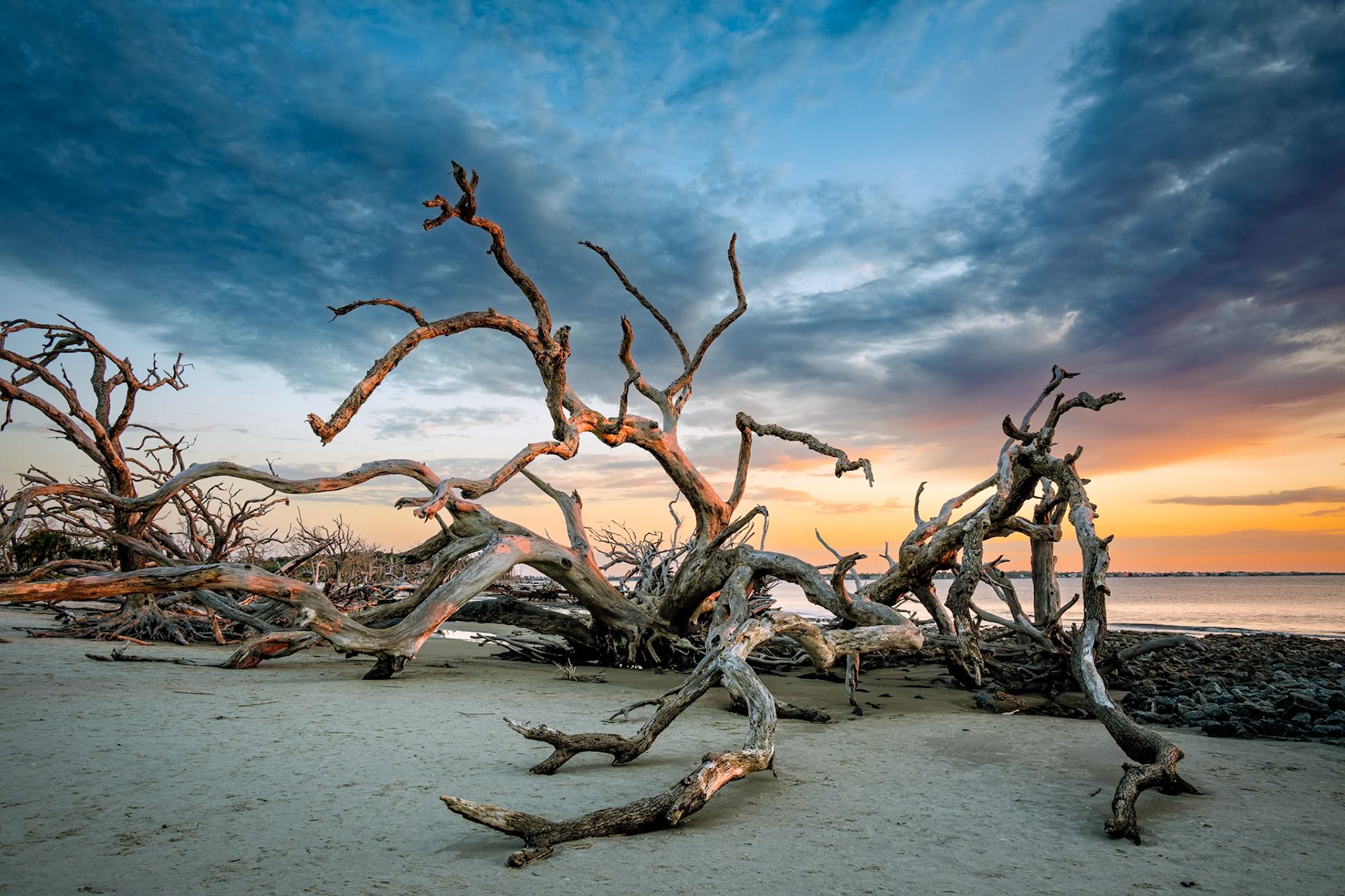 Sunrise Driftwood Beach