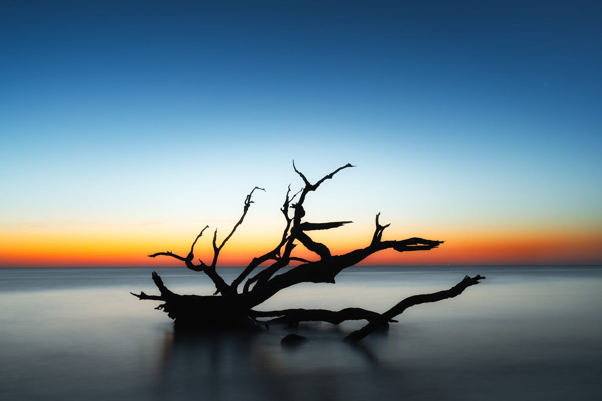 Sunrise Driftwood Beach