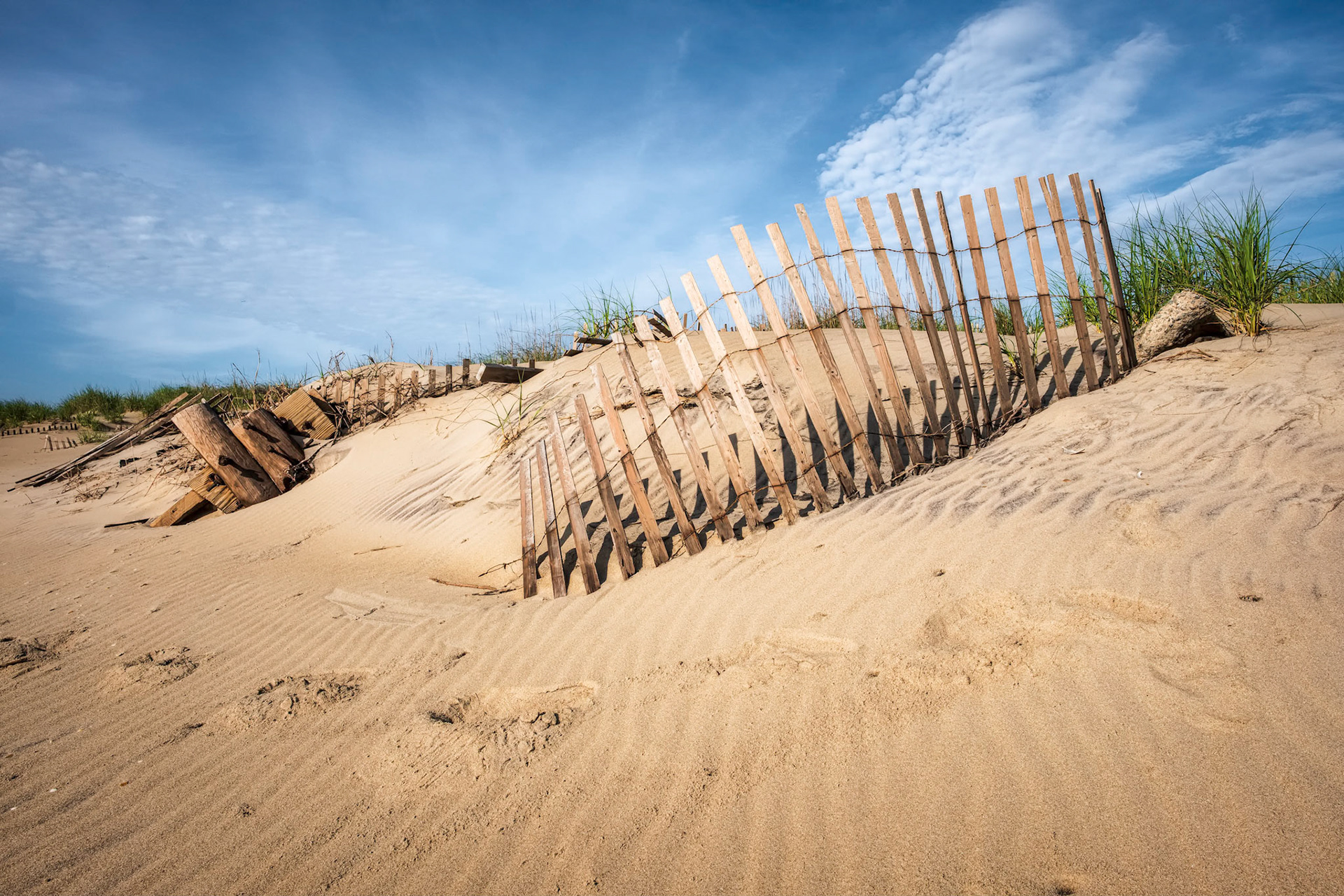 Dune Art