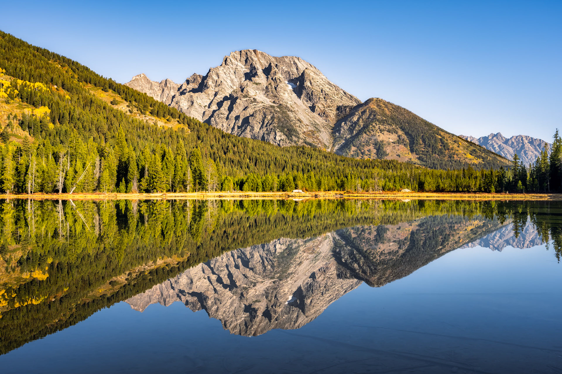 String Lake Reflections
