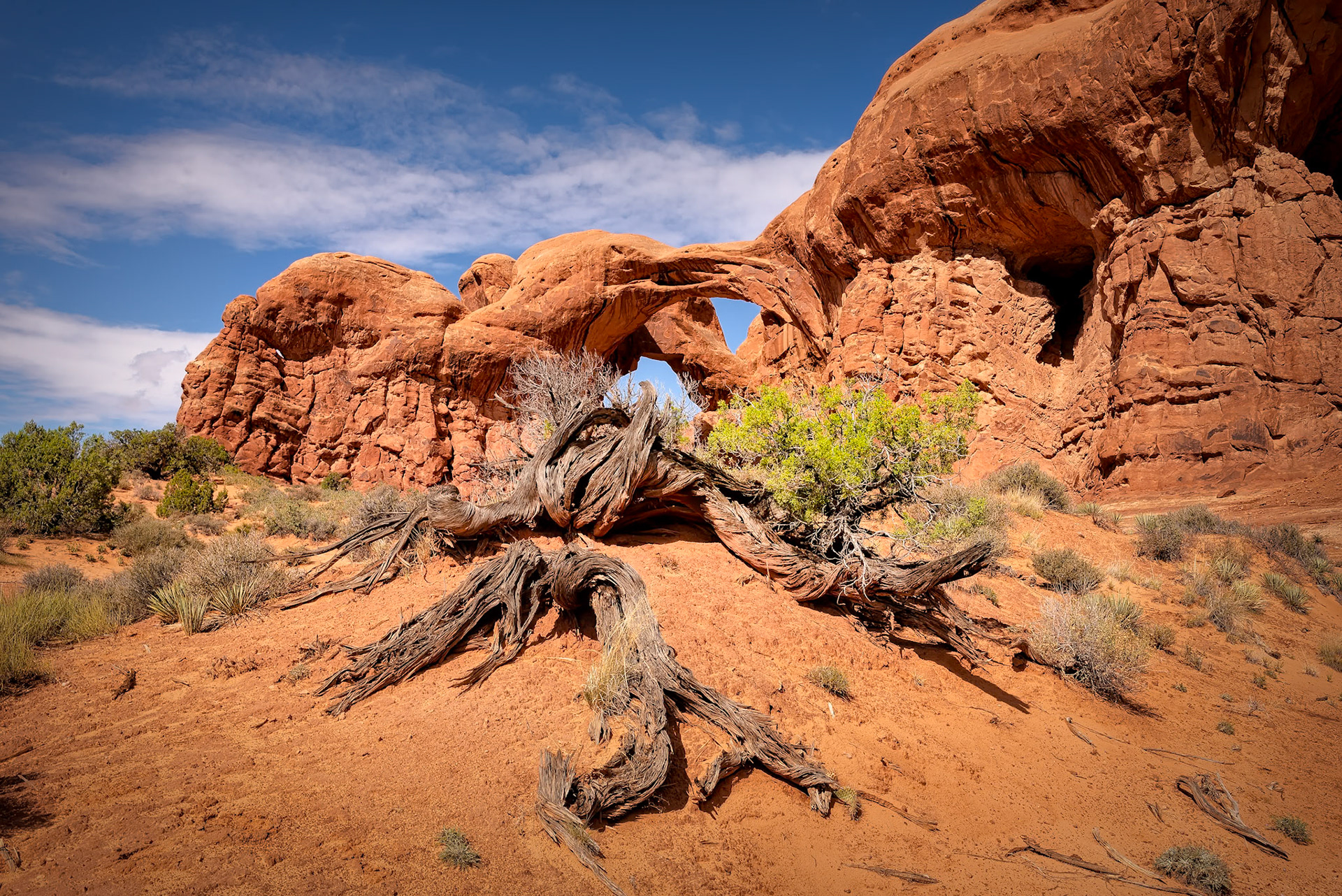 Double Arch