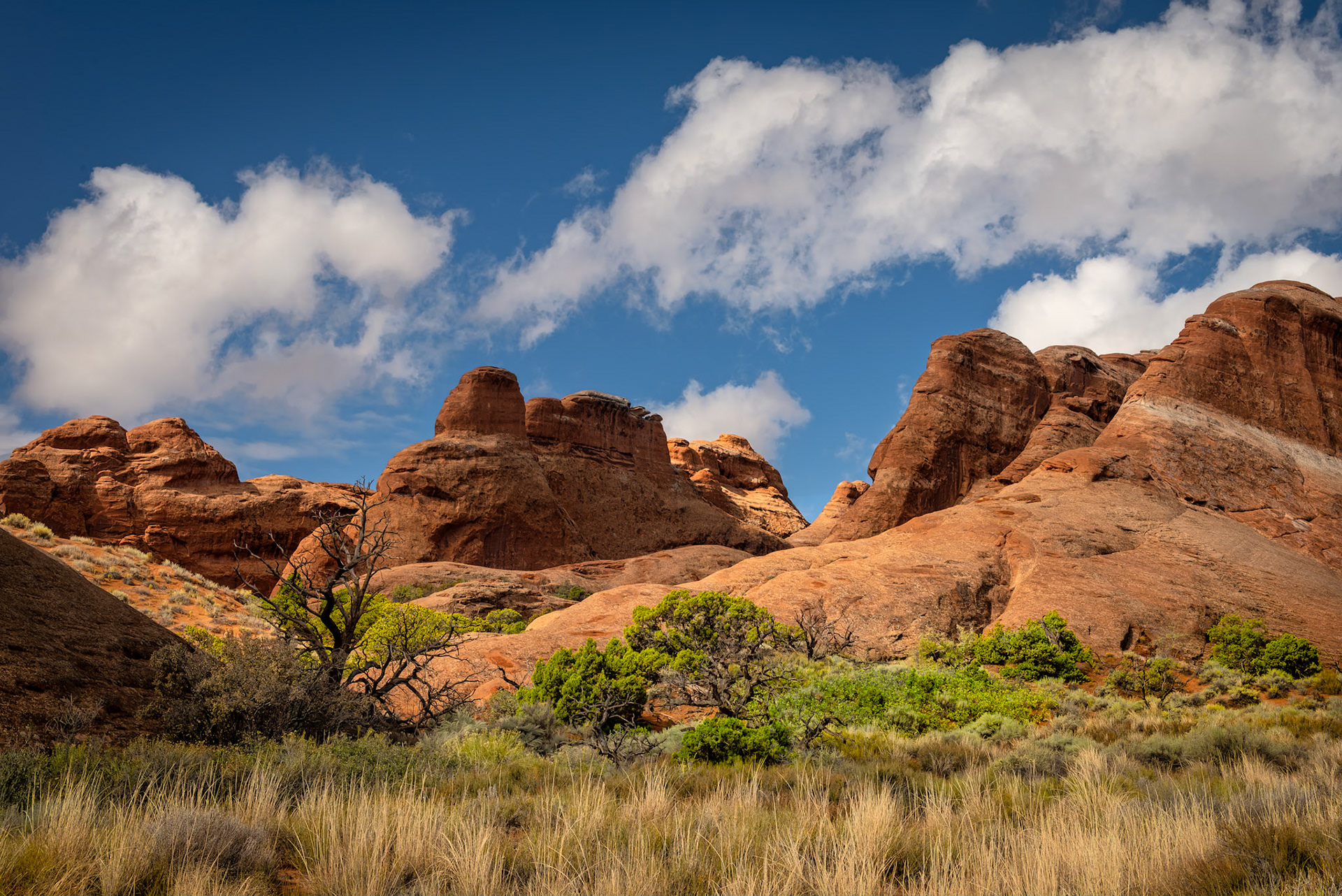 Arches Landscape