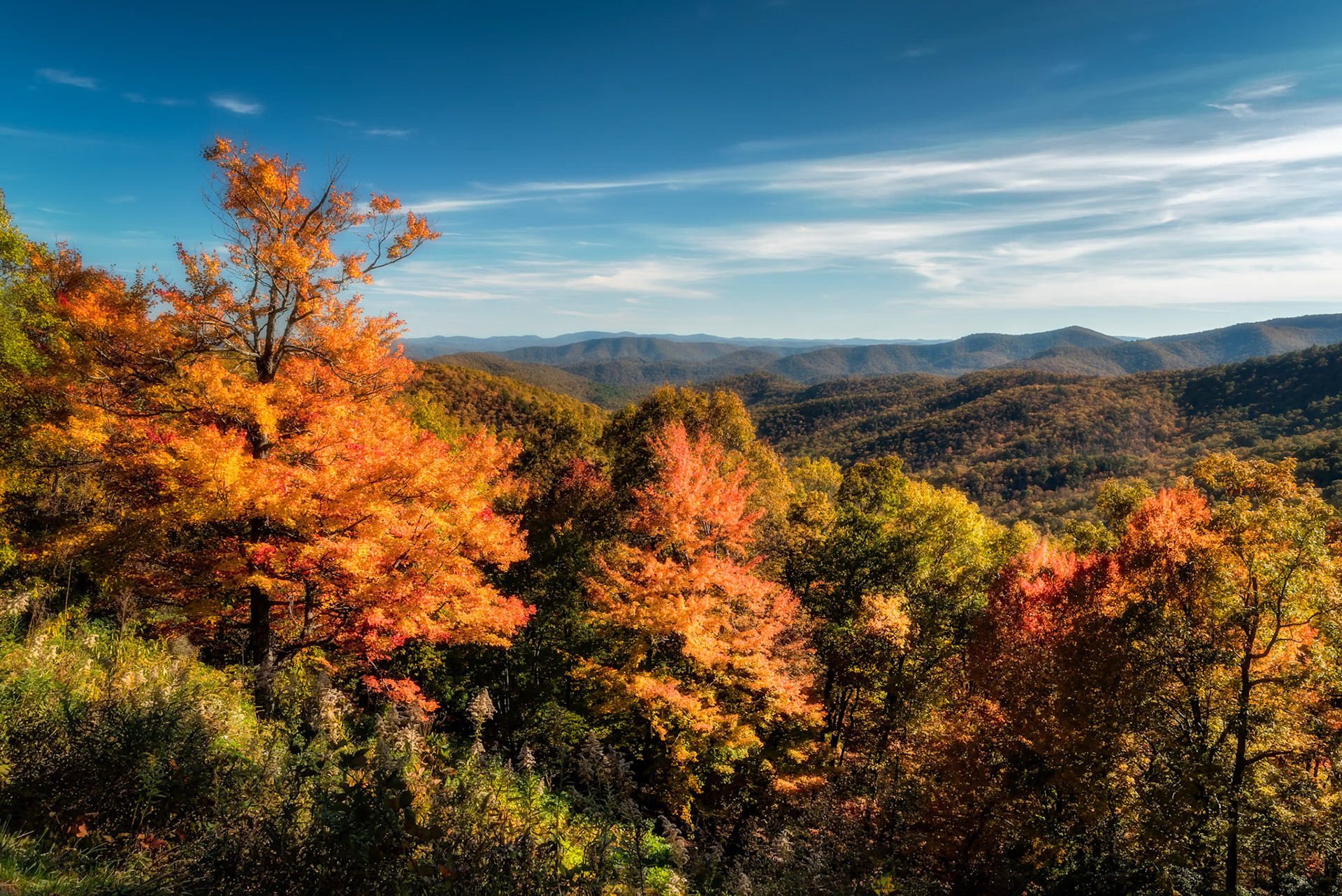 Blue Ridge Parkway Color