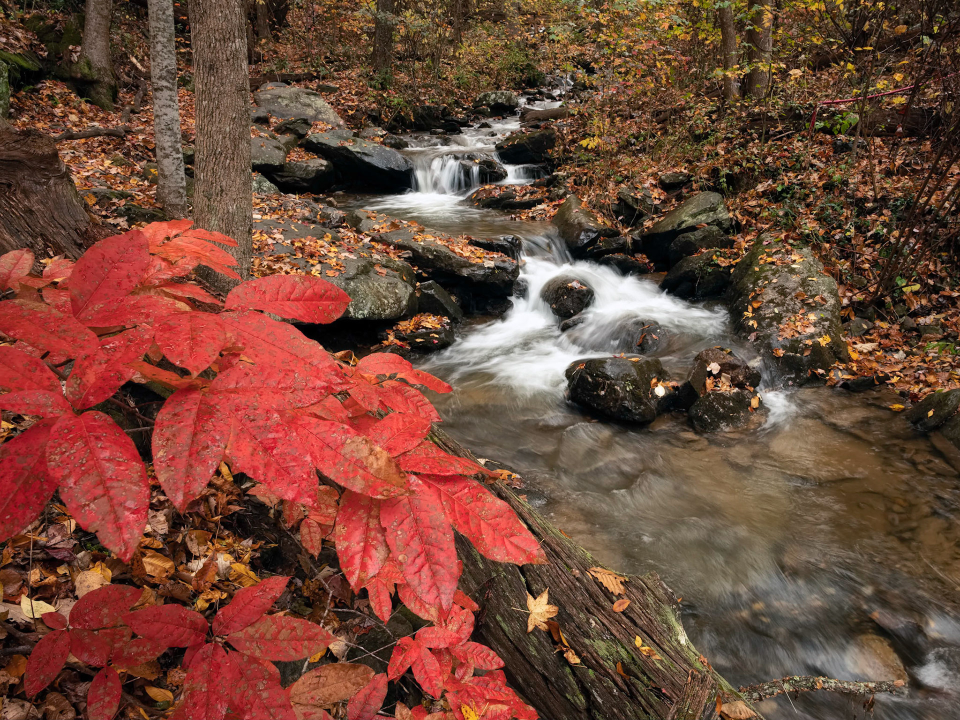Cascades below Amicaloa Falls