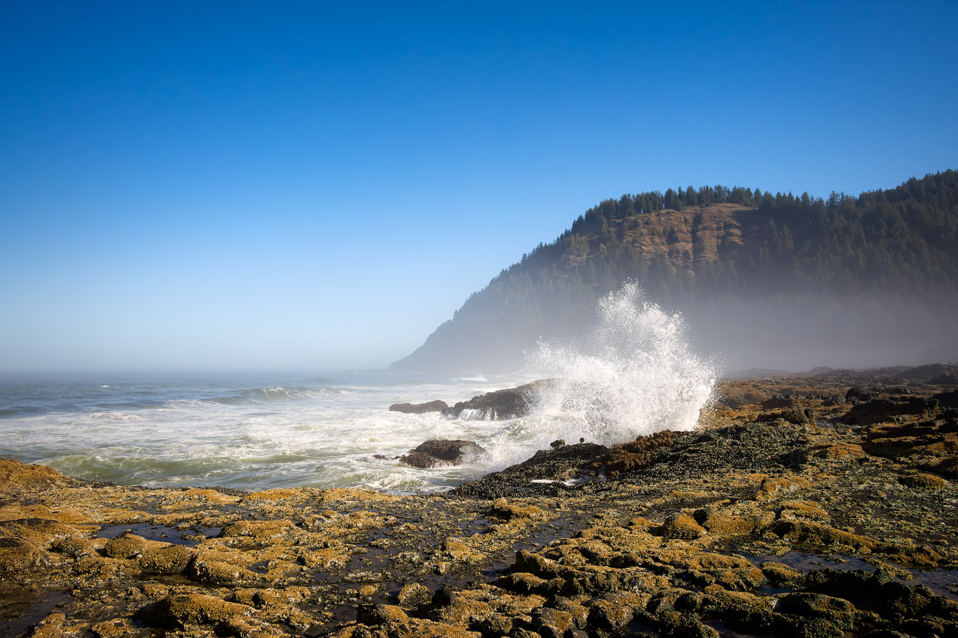 Morning Fog Central Oregon Coast