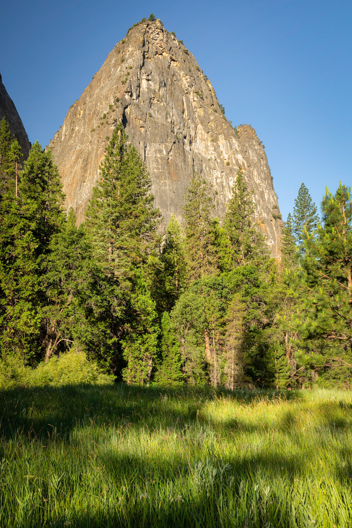 Morning Light Yosemite Valley