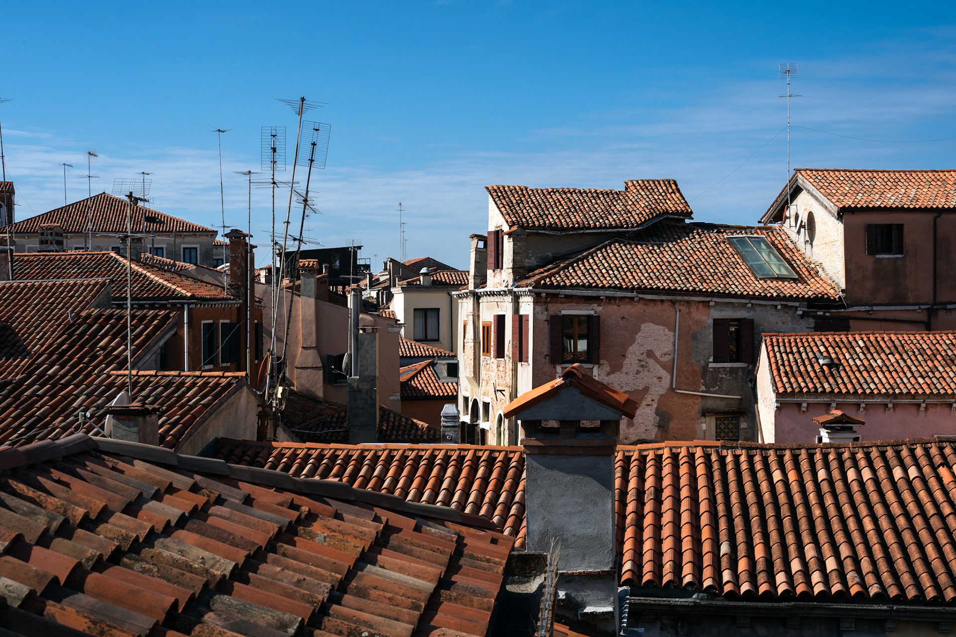 Roof Tops of Venice