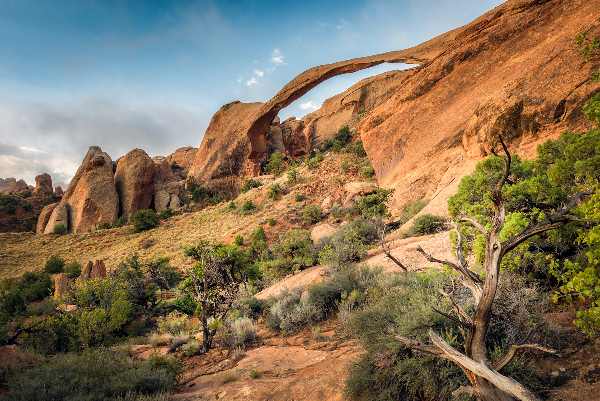 Morning Fog over Landscape Arch