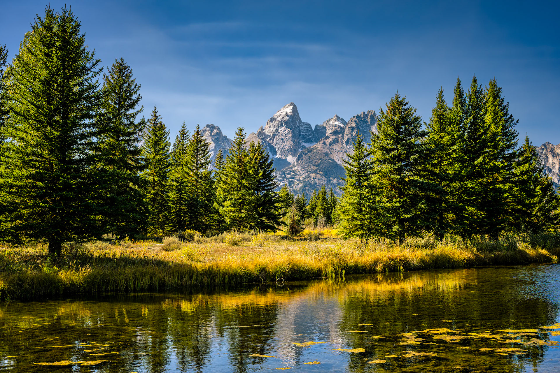 Schwabacher Landing