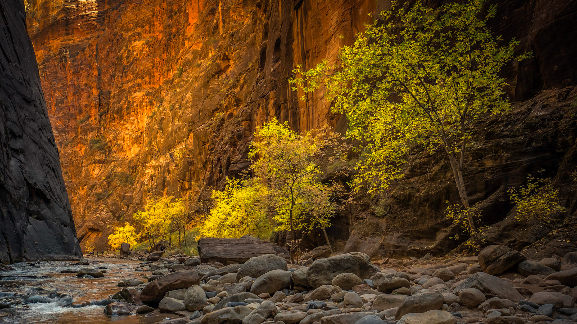 Fall in the Narrows
