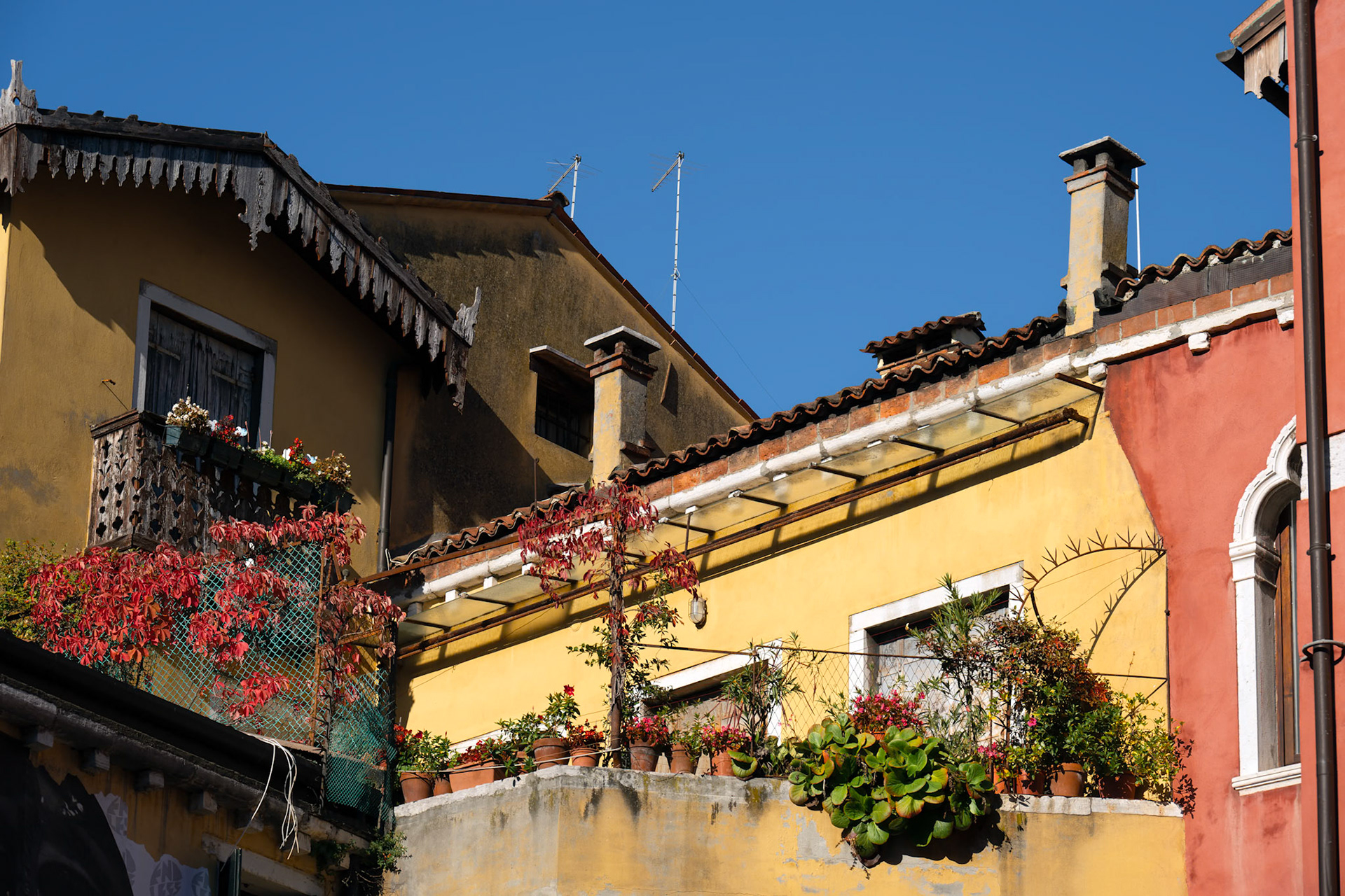Morning light paints Venice home
