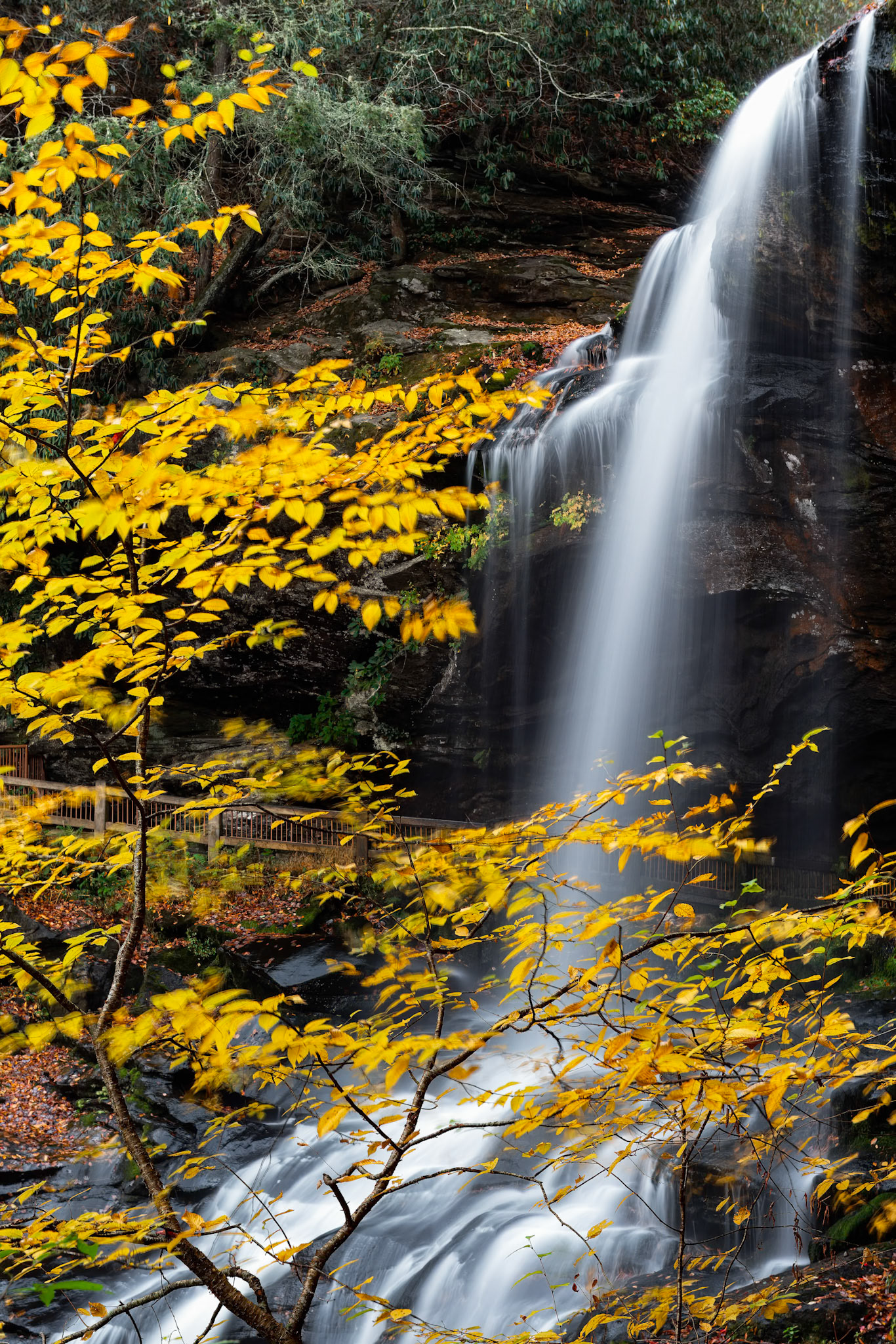 Dry Falls