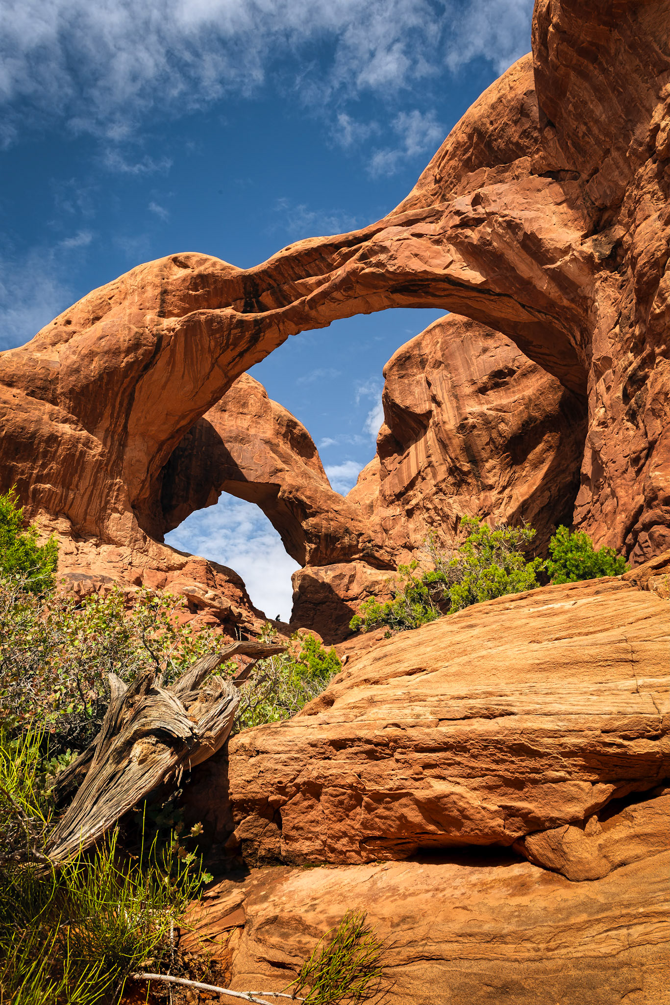 Double Arch