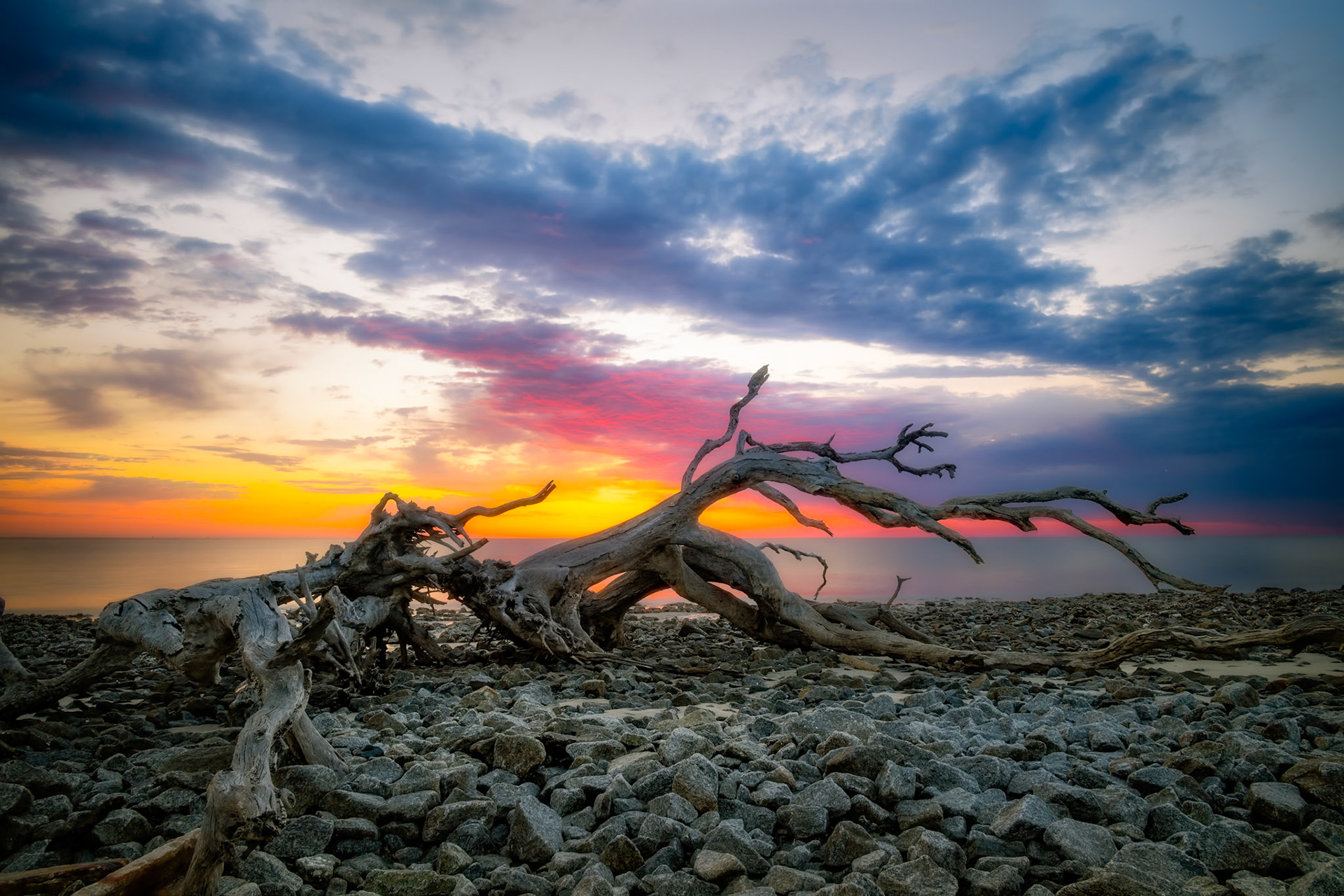 Sunrise Driftwood Beach