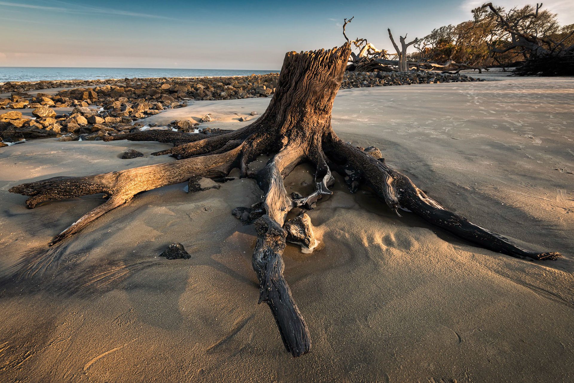 Dappled Light riftwood Beach