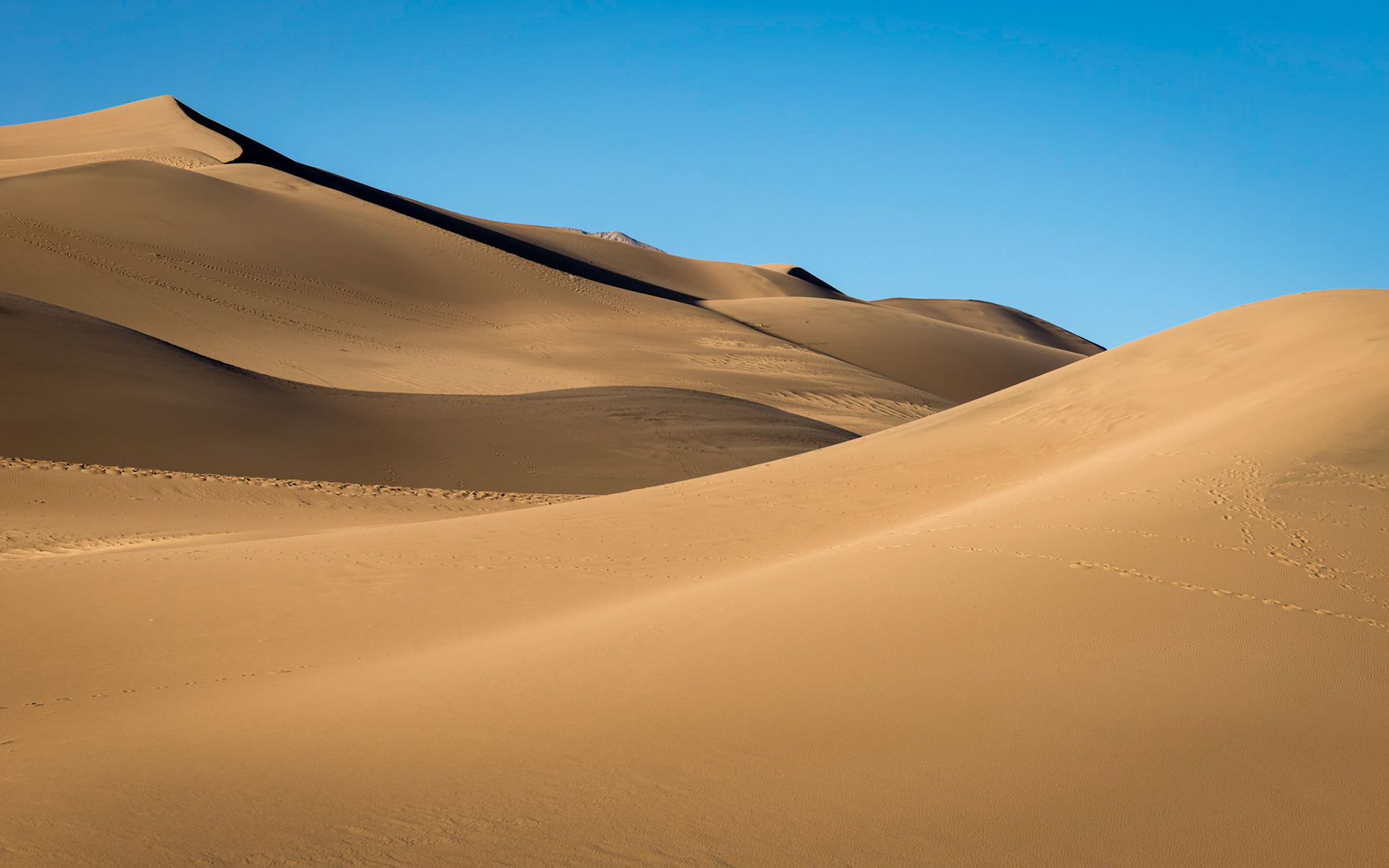 Dune Contours