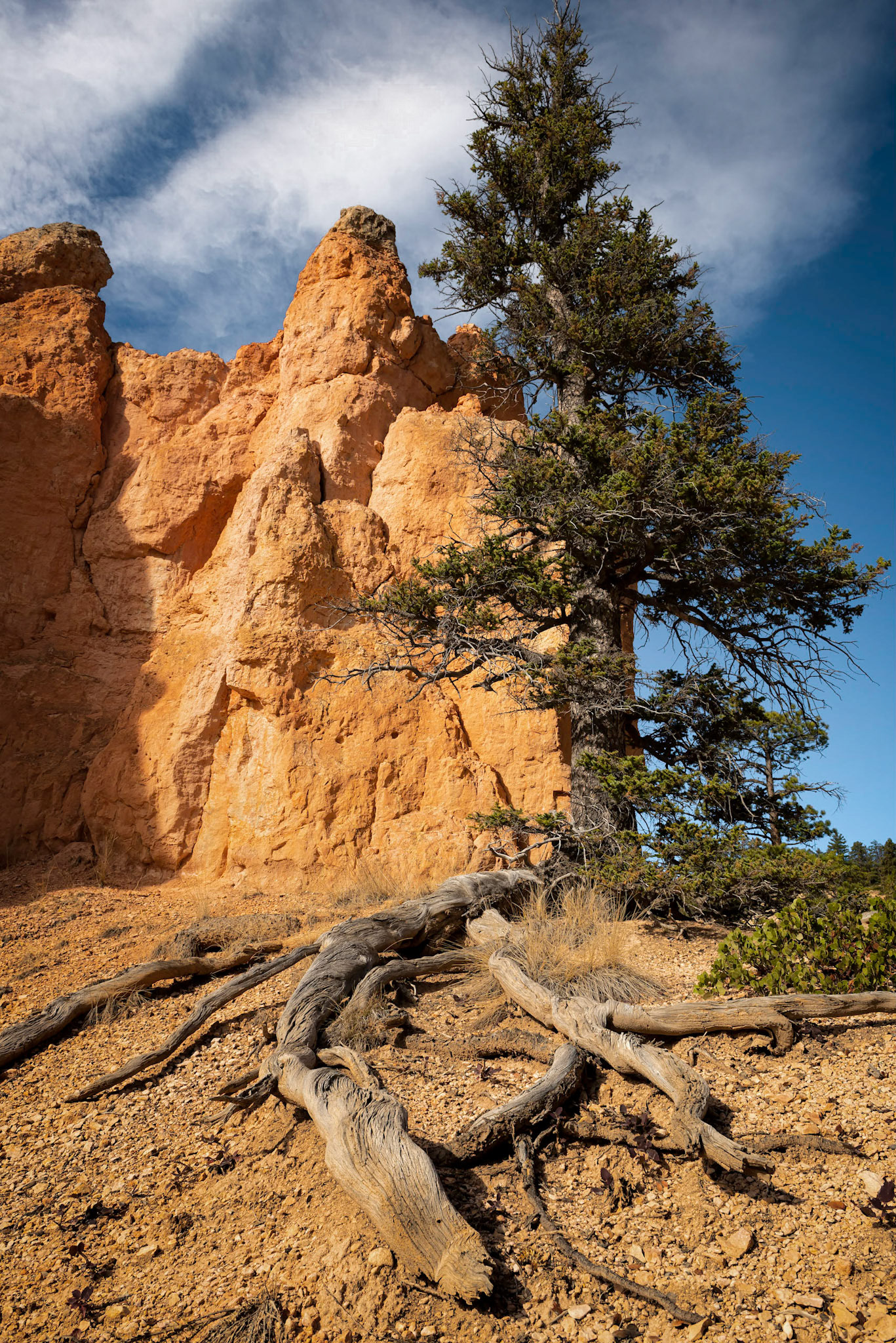 Bryce Canyon